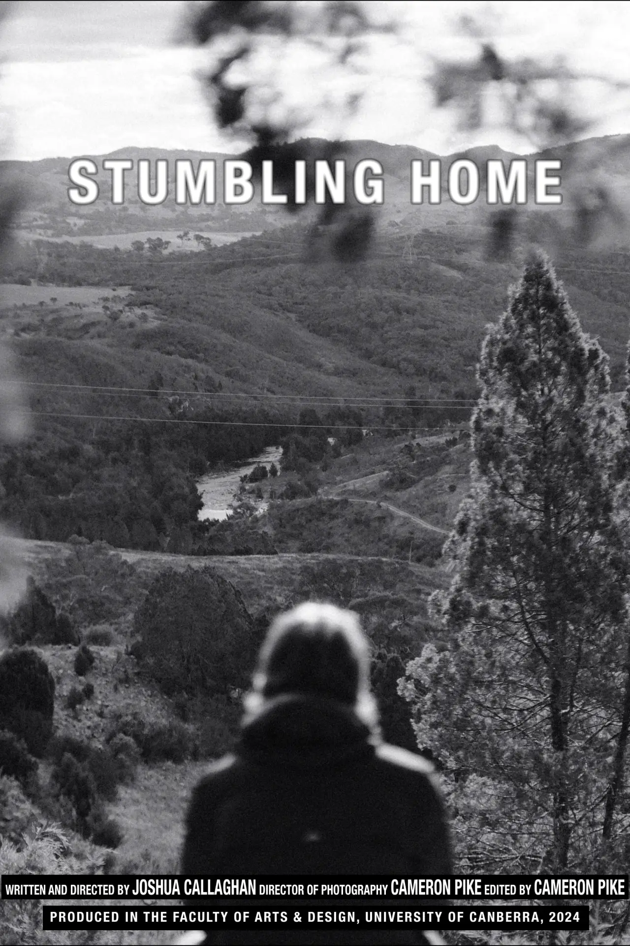 Plakat filmowy "Stumbling Home"