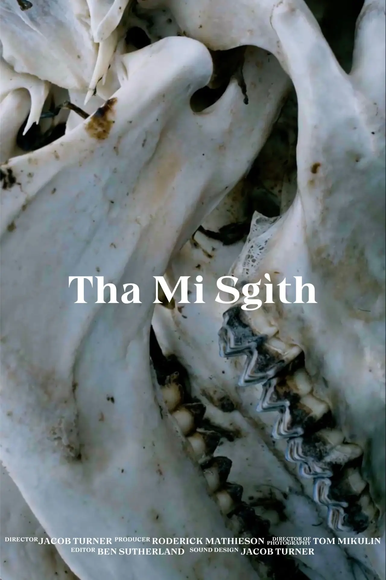Plakat filmowy "Tha Mi Sgìth"