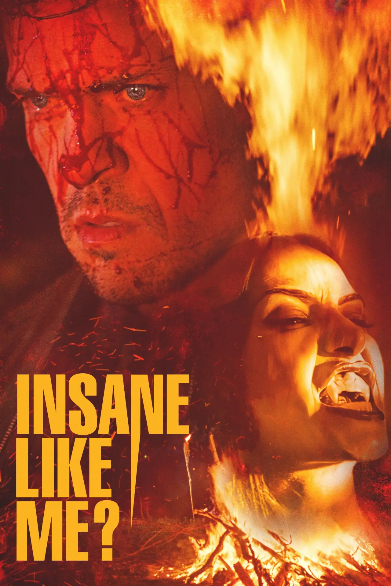 Plakat filmowy "Insane Like Me?"
