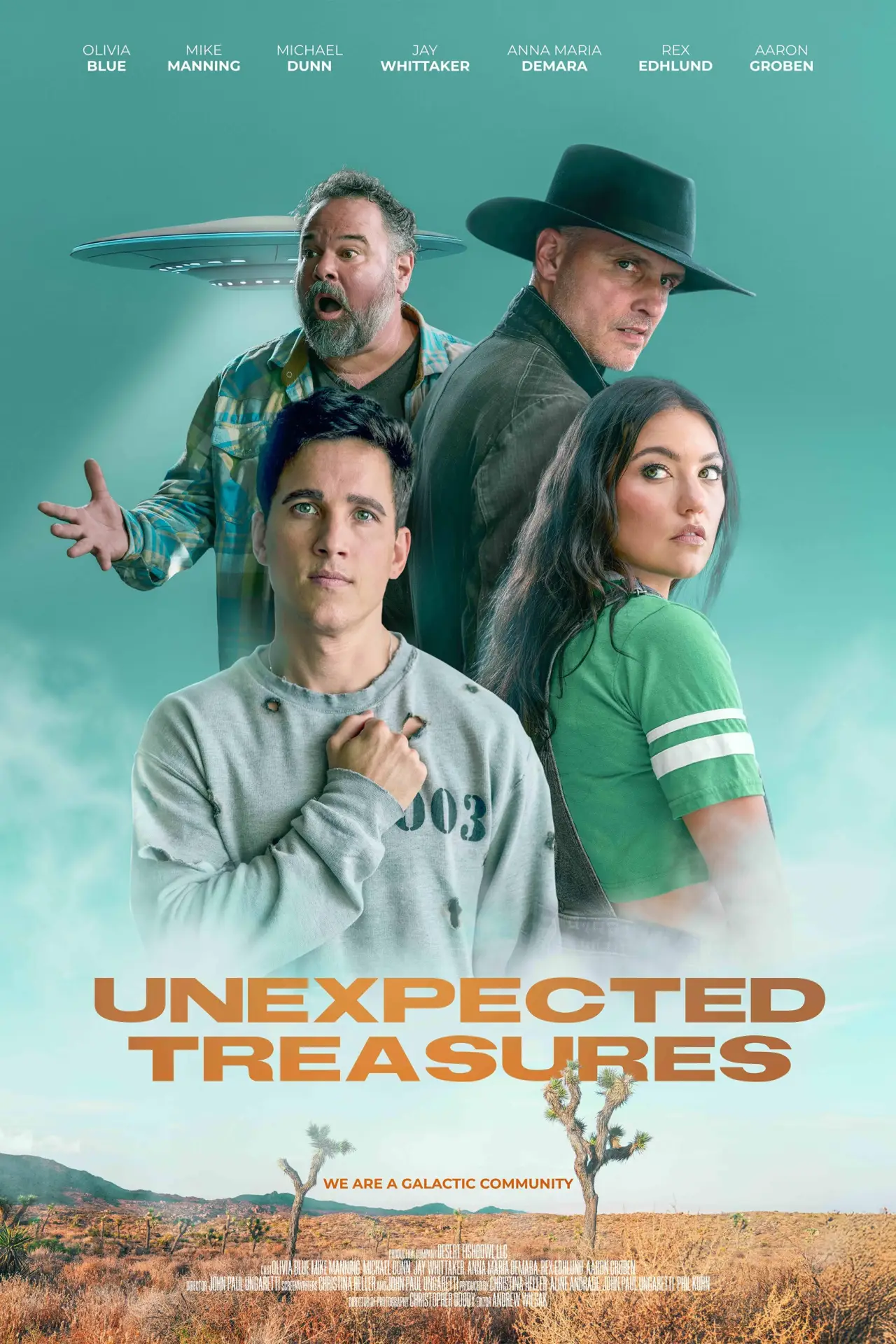 Plakat filmowy "Unexpected Treasures"
