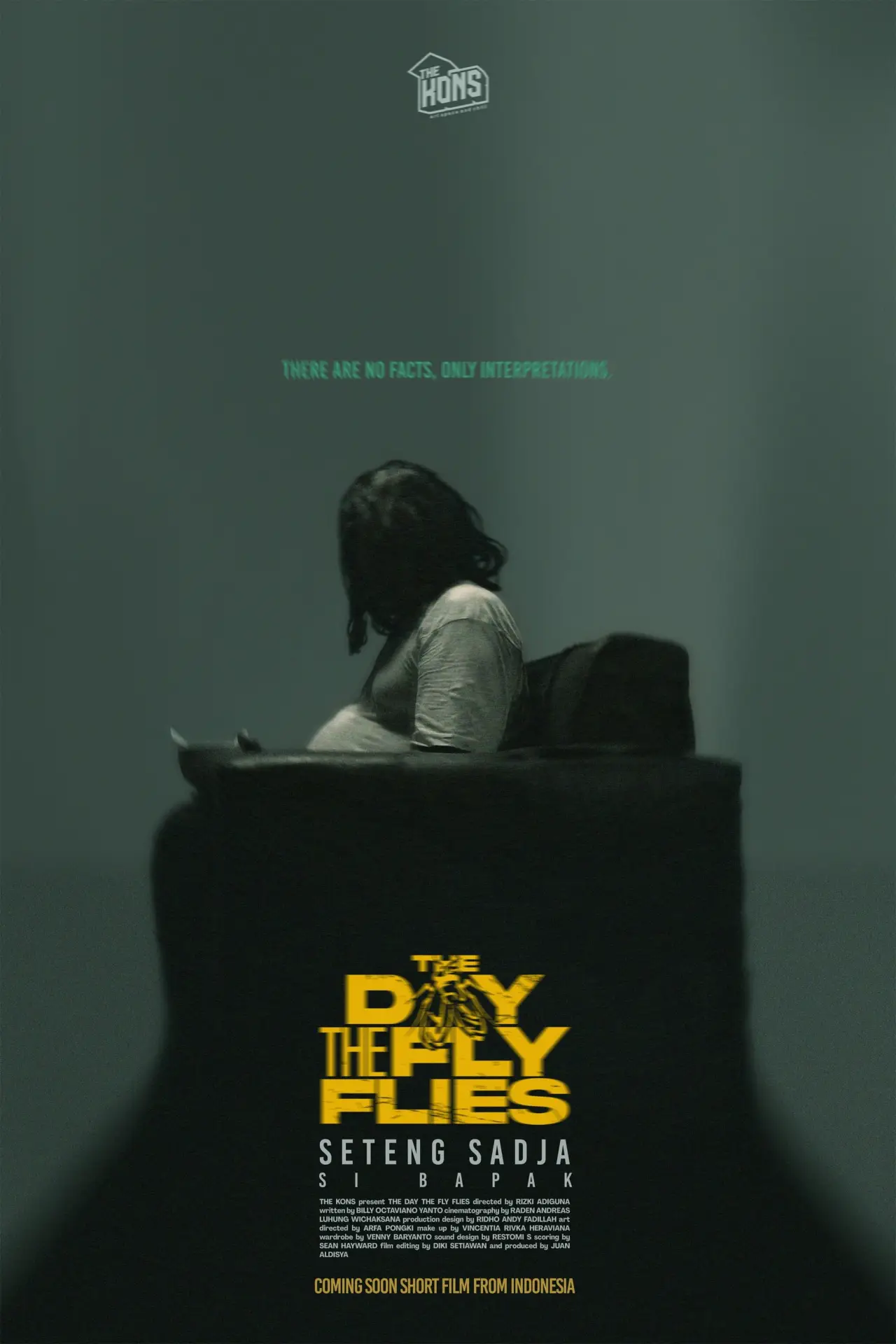 Plakat filmowy "The Day The Fly Flies"