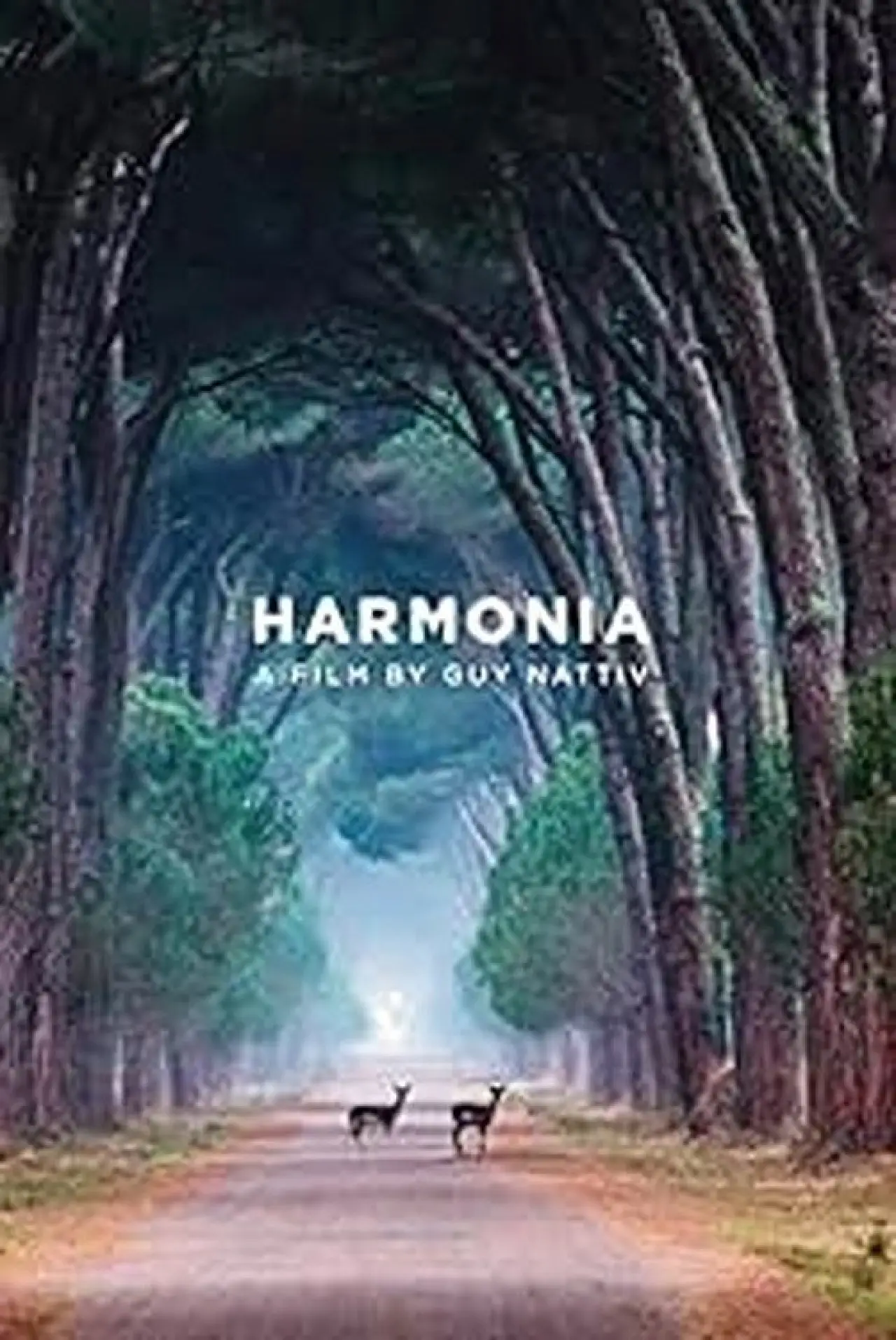 Plakat filmowy "Harmonia"