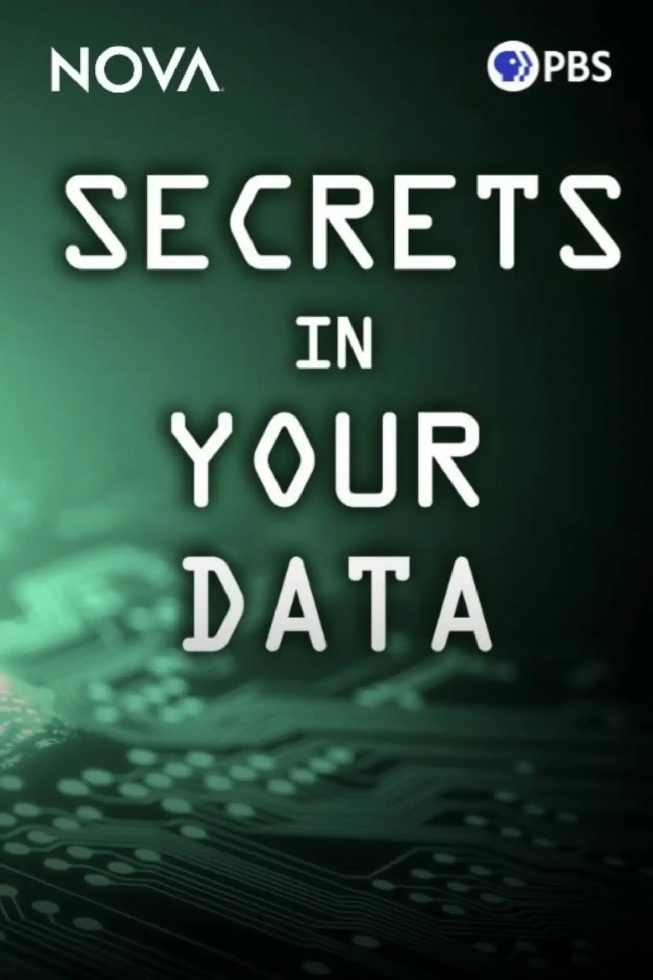 Plakat filmowy "Secrets in Your Data"