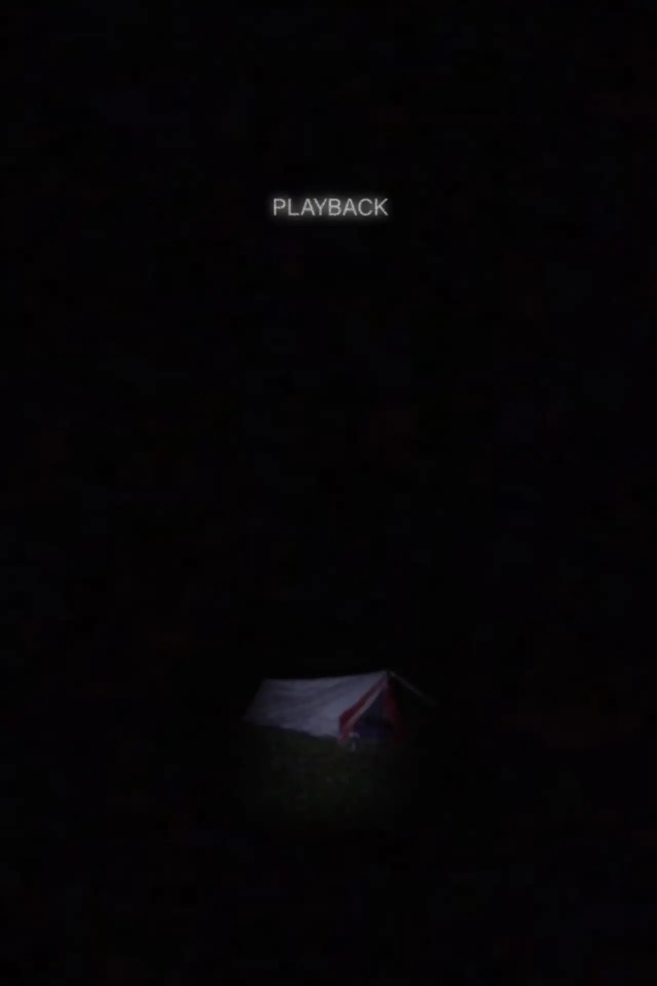 Plakat filmowy "Playback"