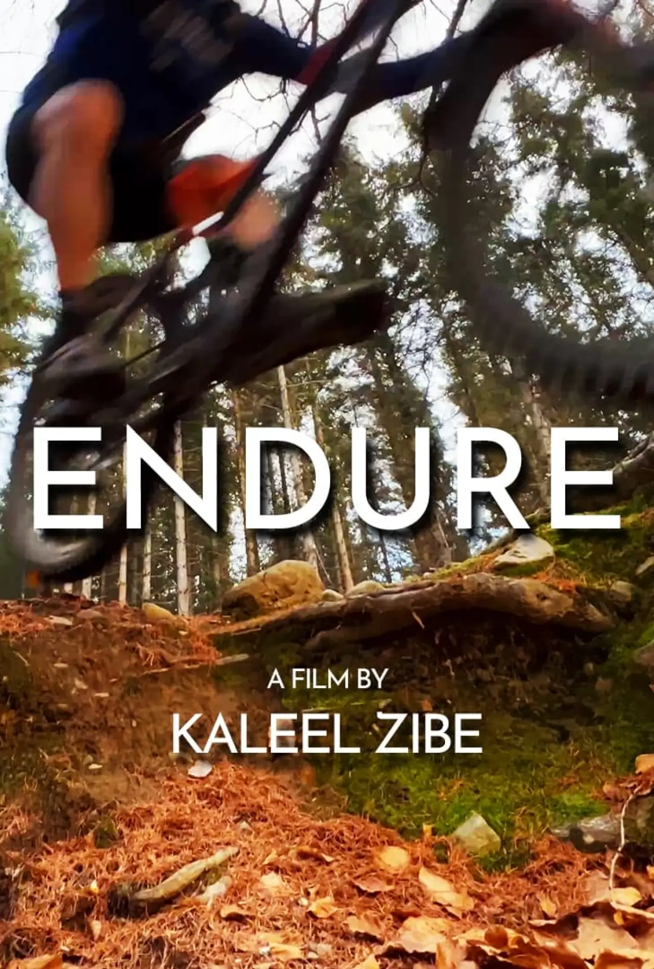 Plakat filmowy "Endure"