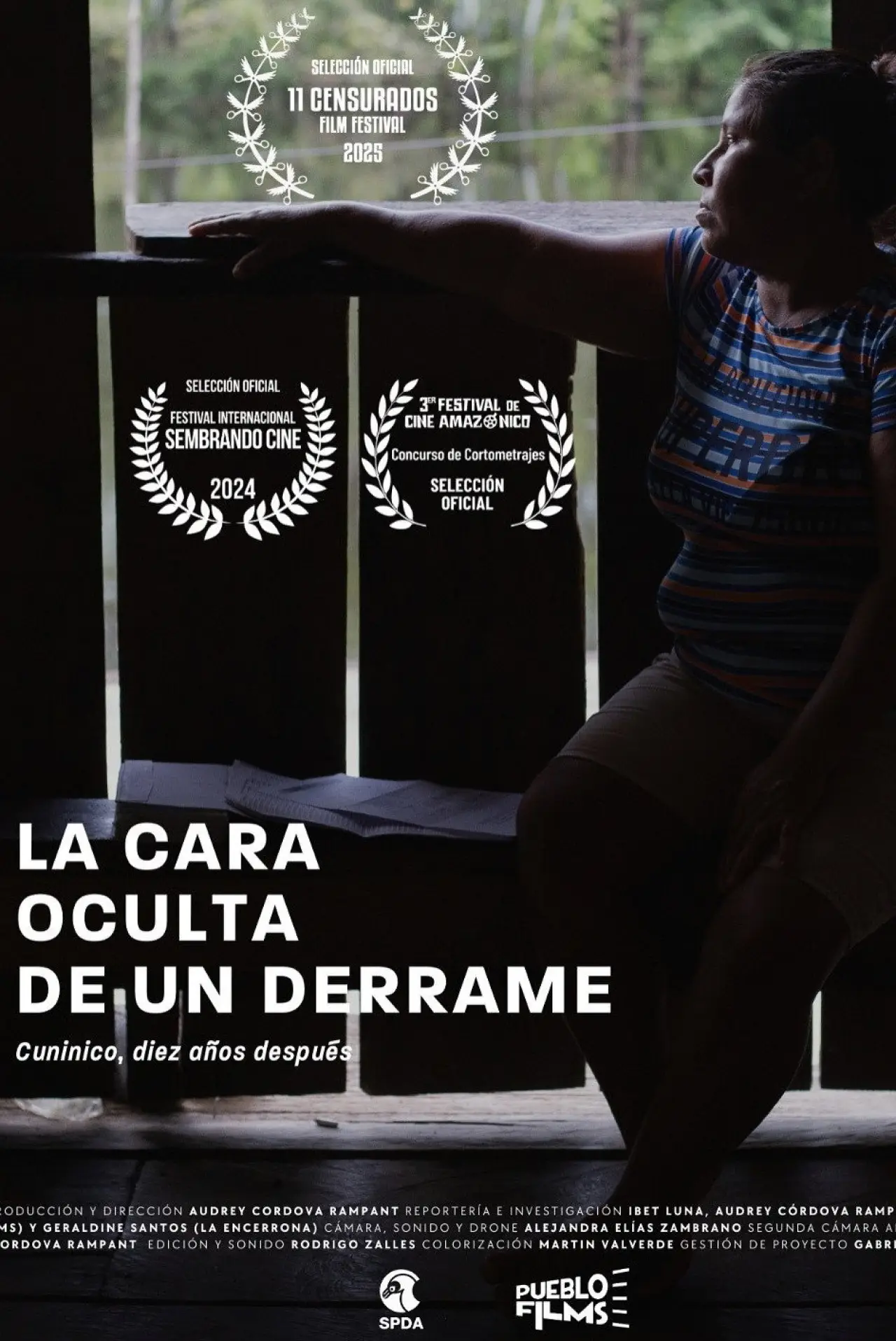 Plakat filmowy "La cara oculta de un derrame"