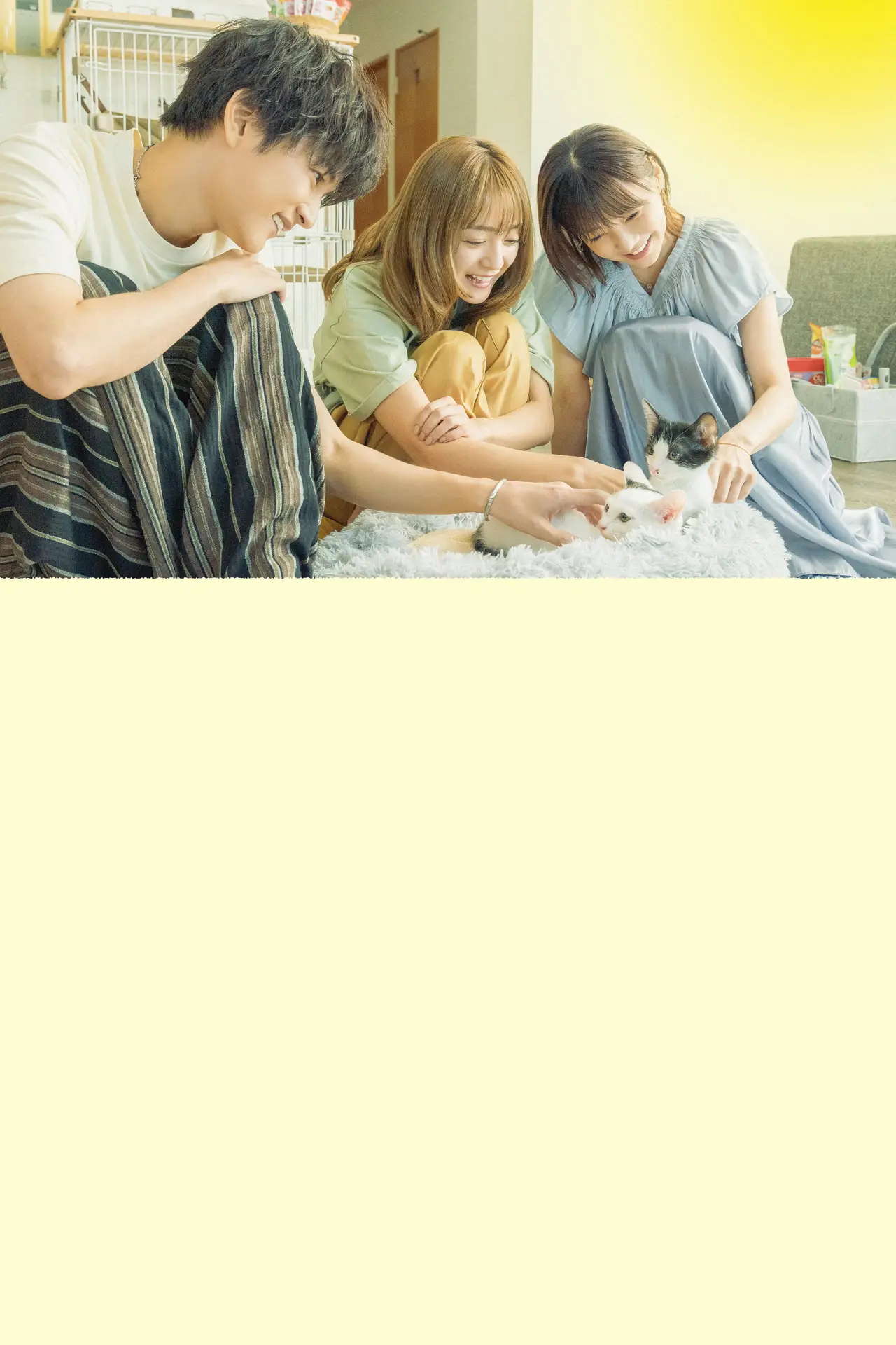 Plakat filmowy "三日月とネコ"