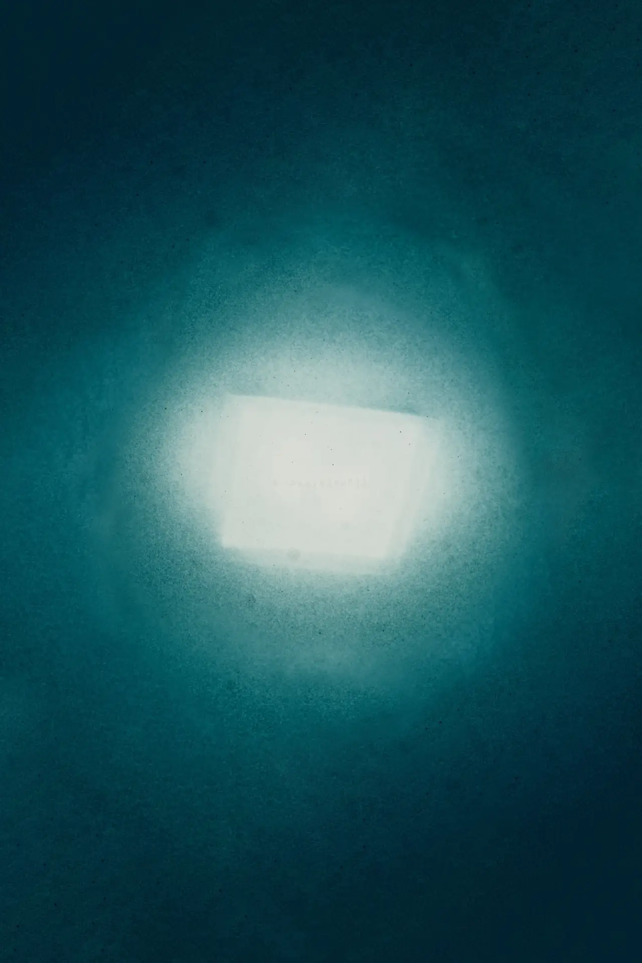 Plakat filmowy "ɐıɔuǝɹɐdsuɐɹʇ"