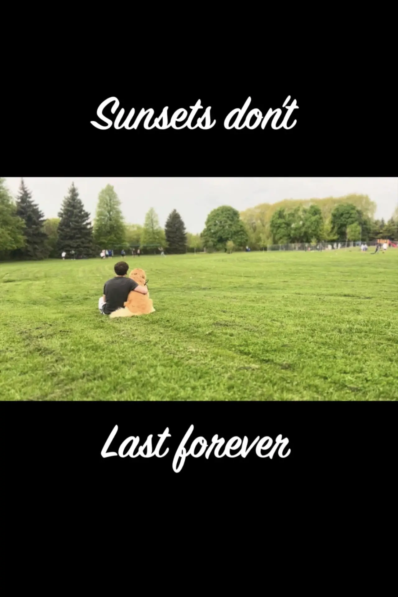 Plakat filmowy "Sunsets Don
