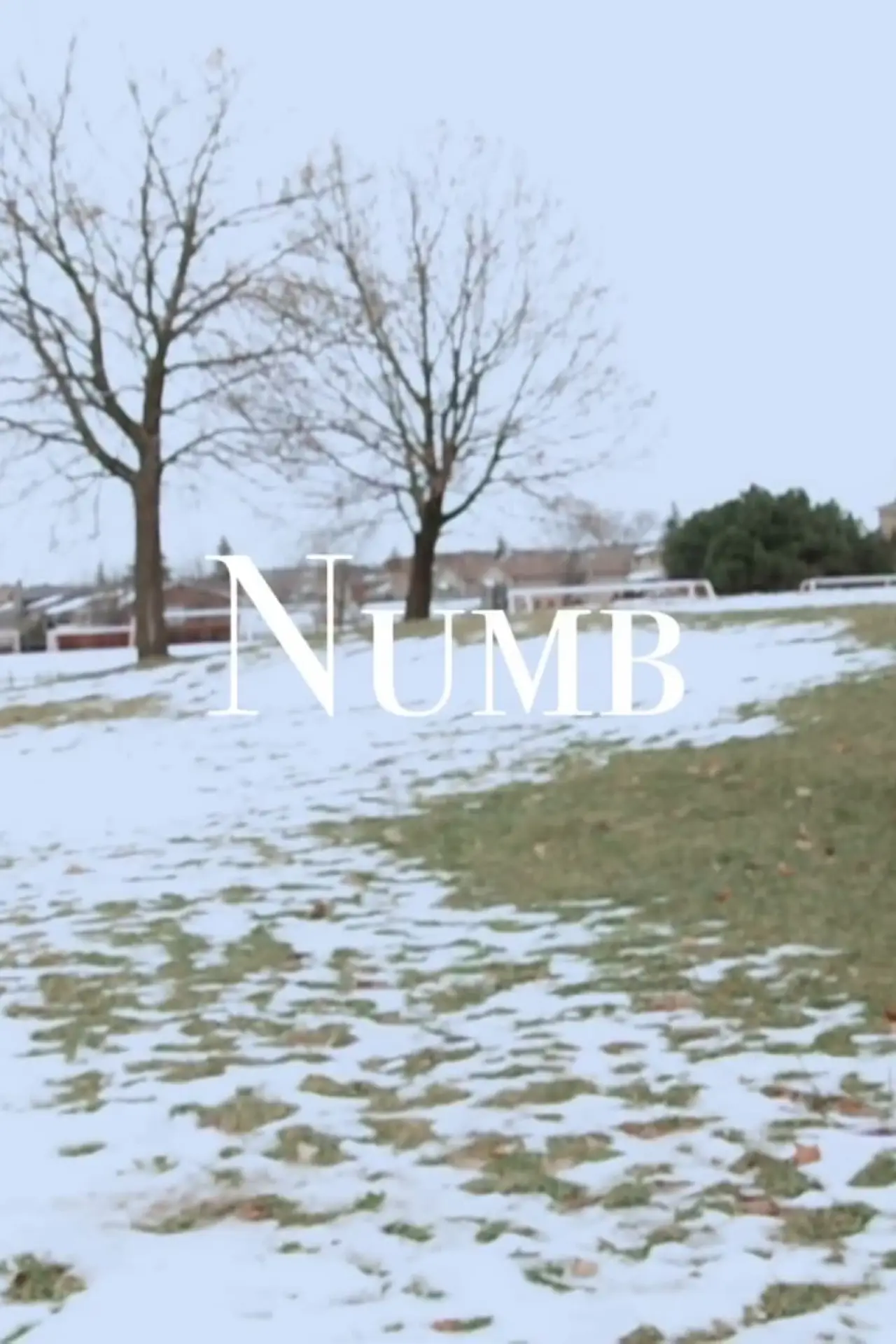 Plakat filmowy "Numb"
