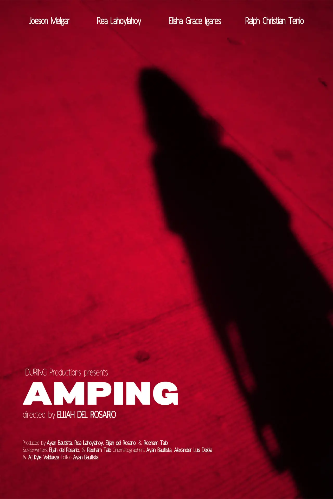 Plakat filmowy "Amping"