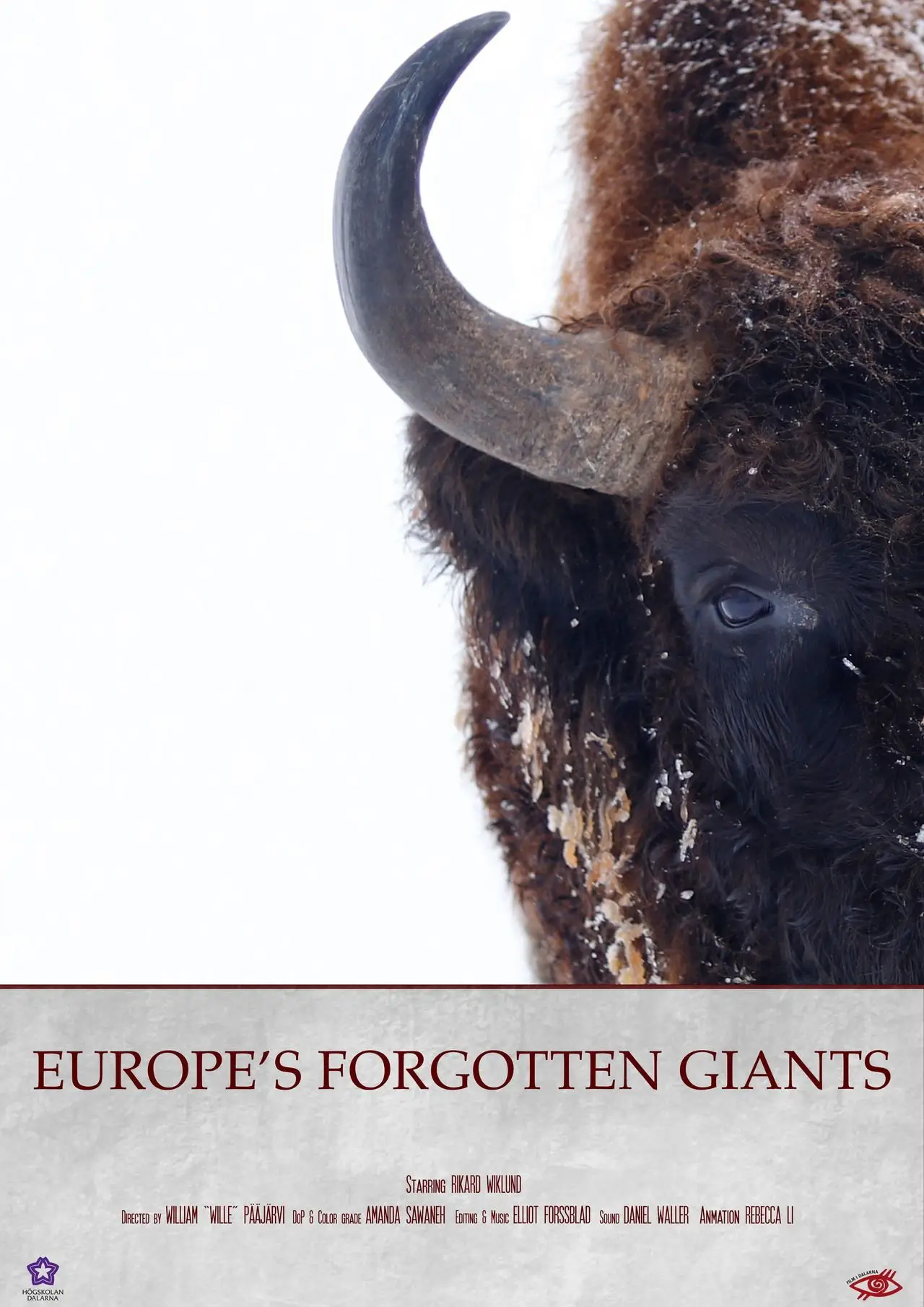 Plakat filmowy "Visenten - Den Bortglömda Jätten"