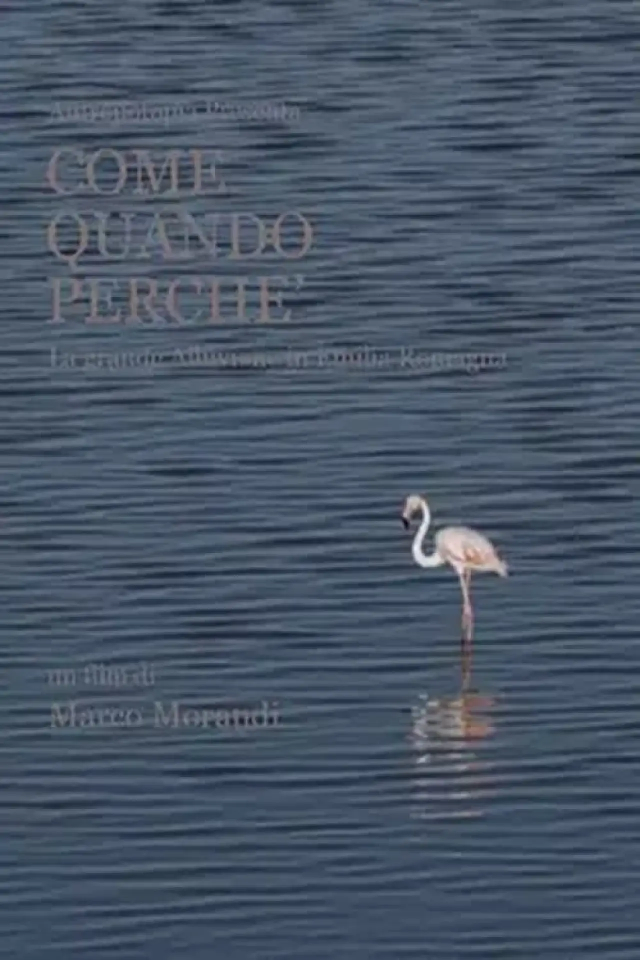 Plakat filmowy "Come quando perché"