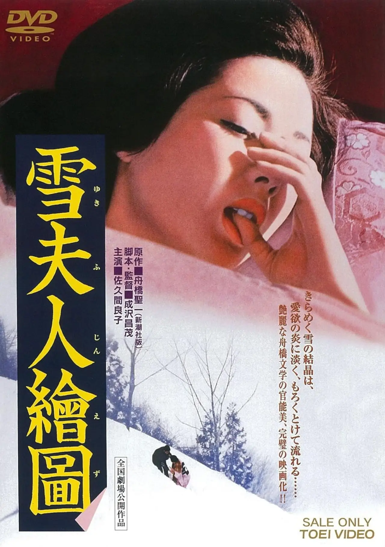 Plakat filmowy "雪夫人繪圖"