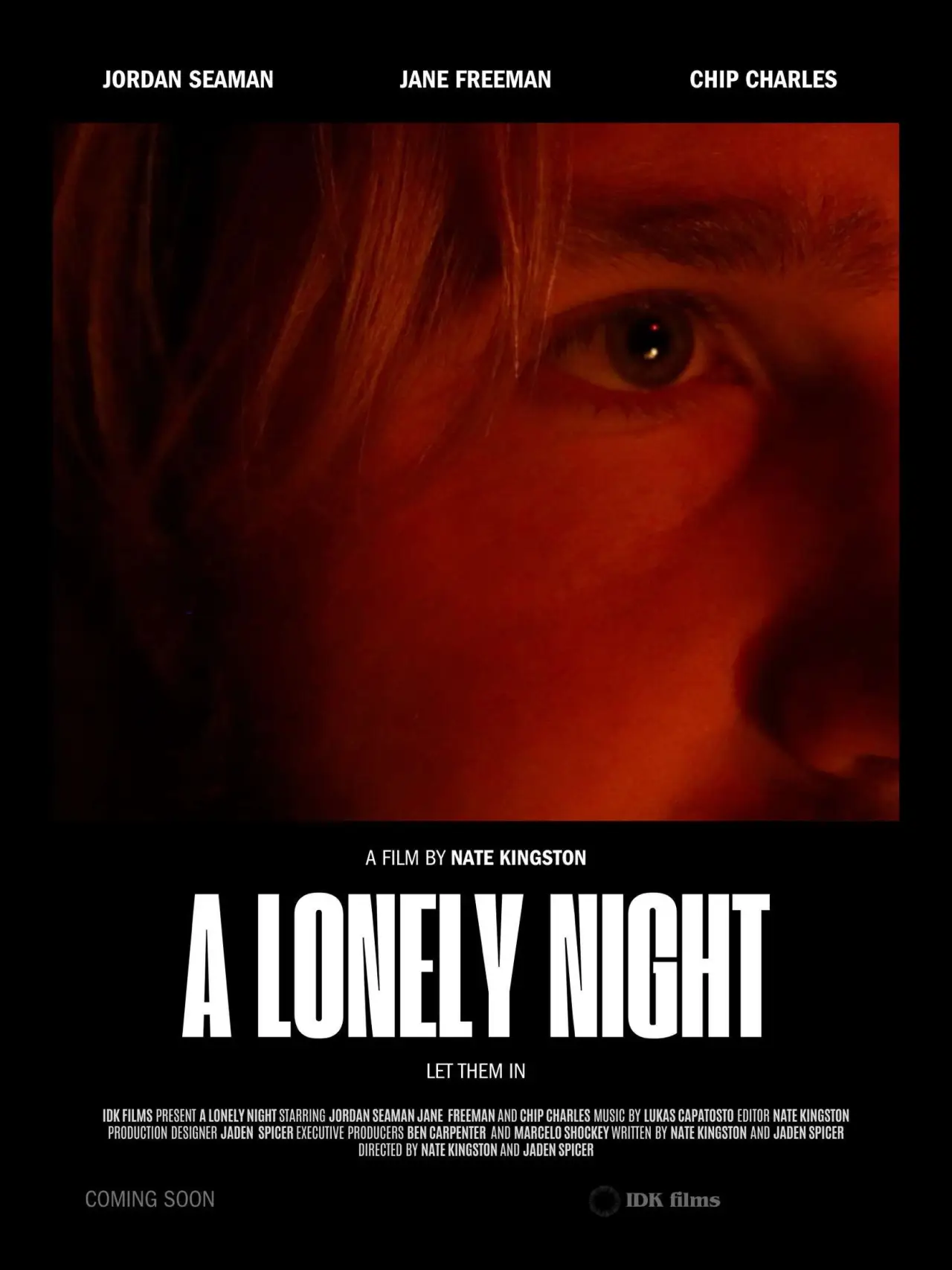Plakat filmowy "a lonely night"