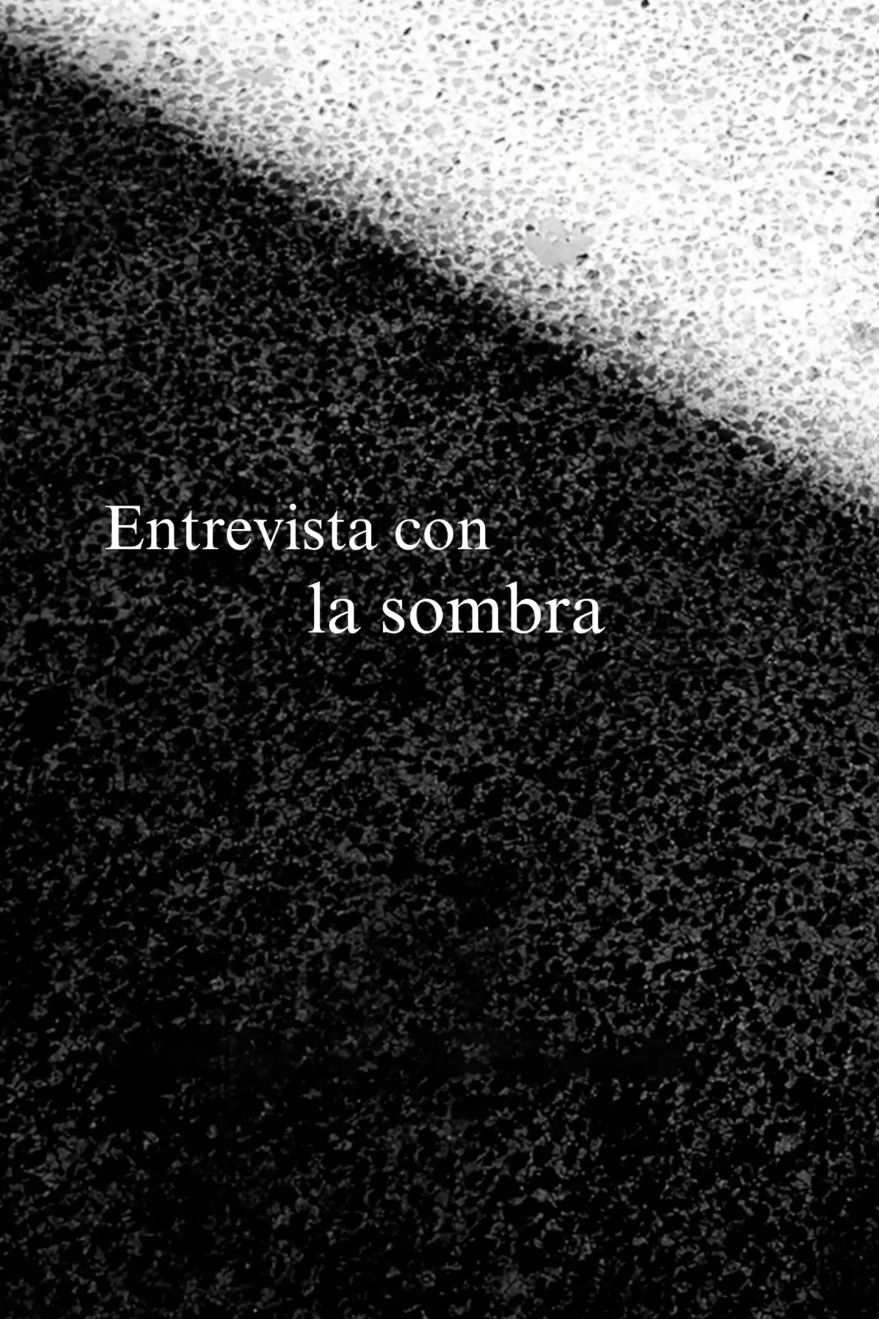 Plakat filmowy "Entrevista con la sombra"
