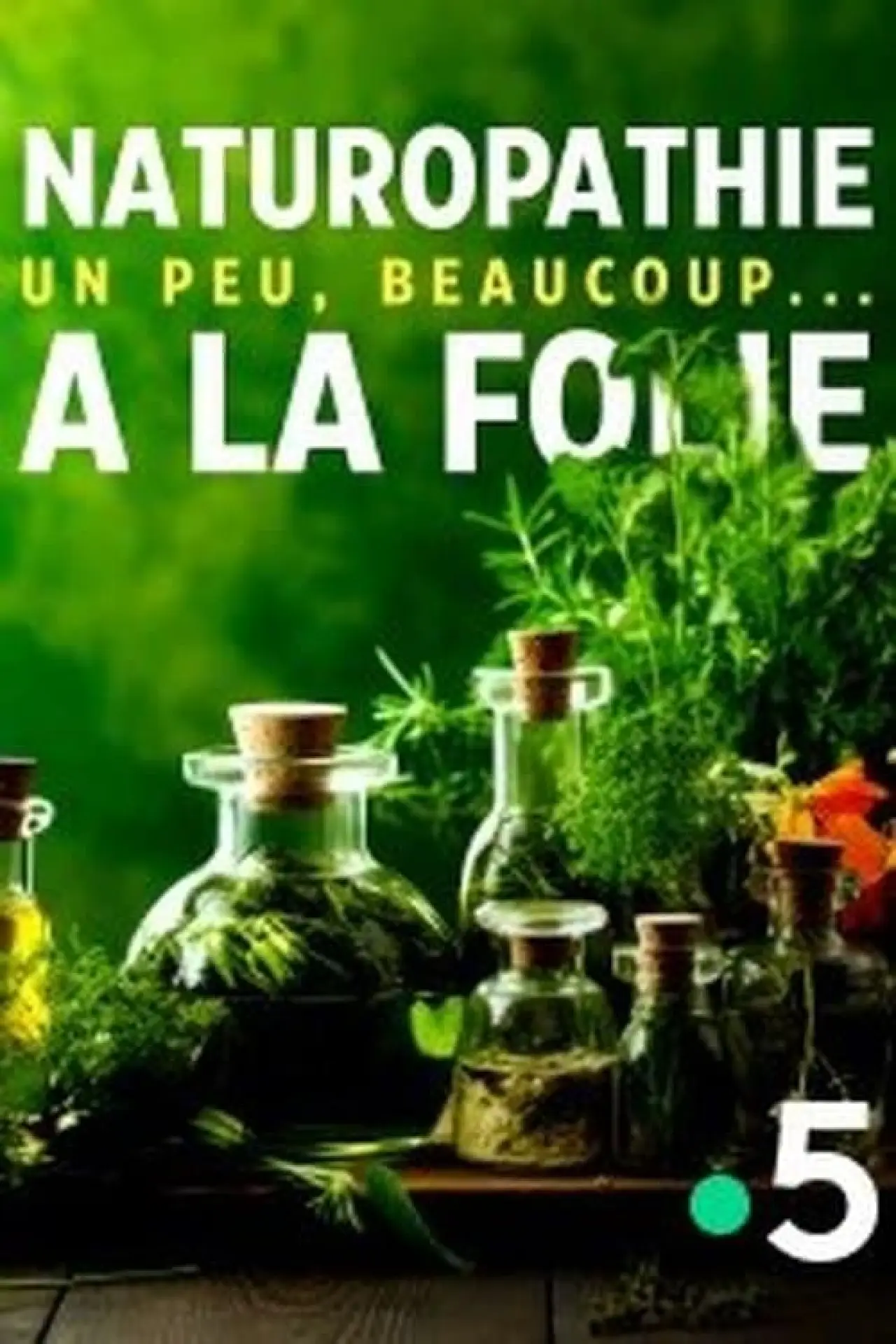 Plakat filmowy "Naturopathie, un peu, beaucoup... à la folie"