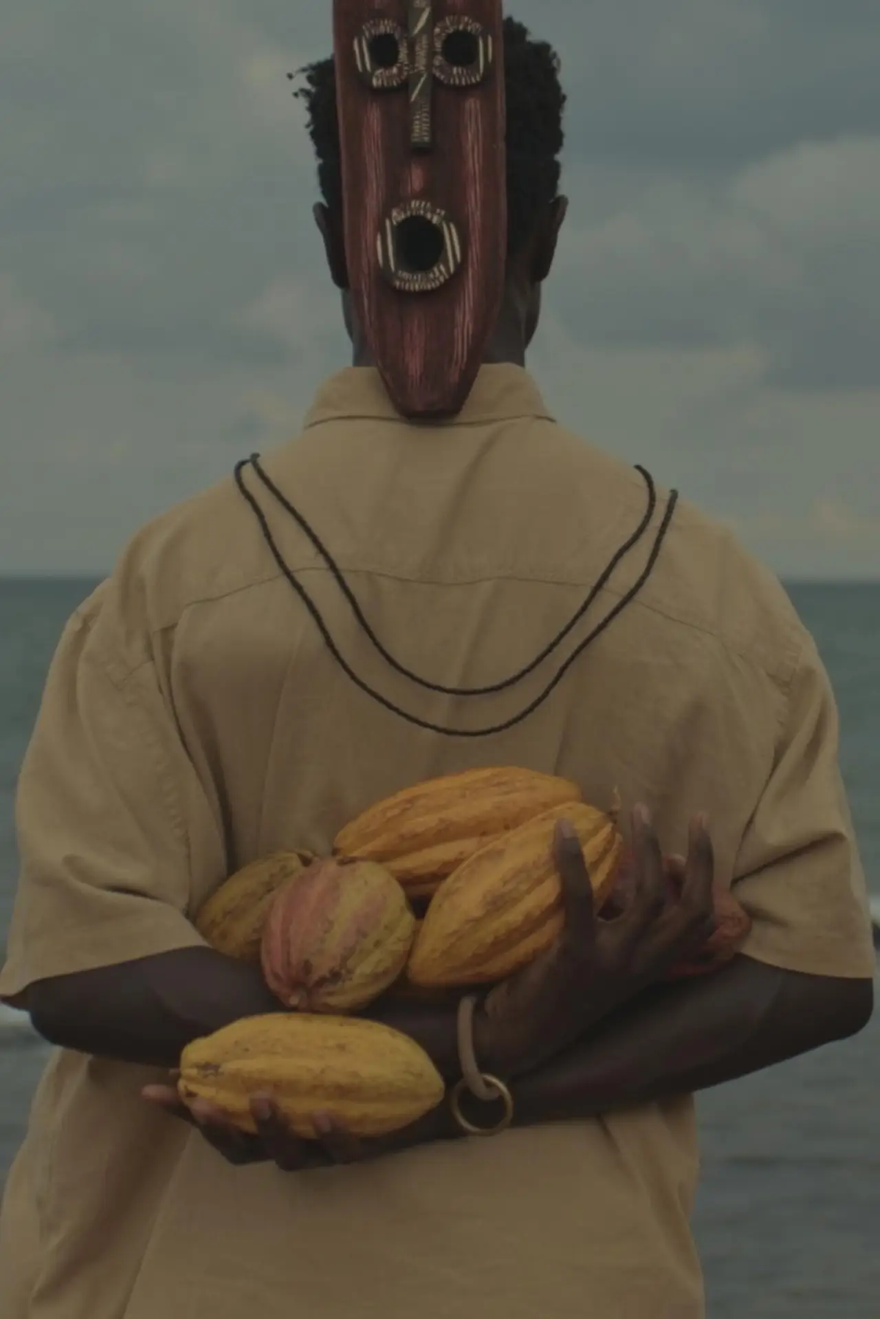 Plakat filmowy "Latitude Fénix"