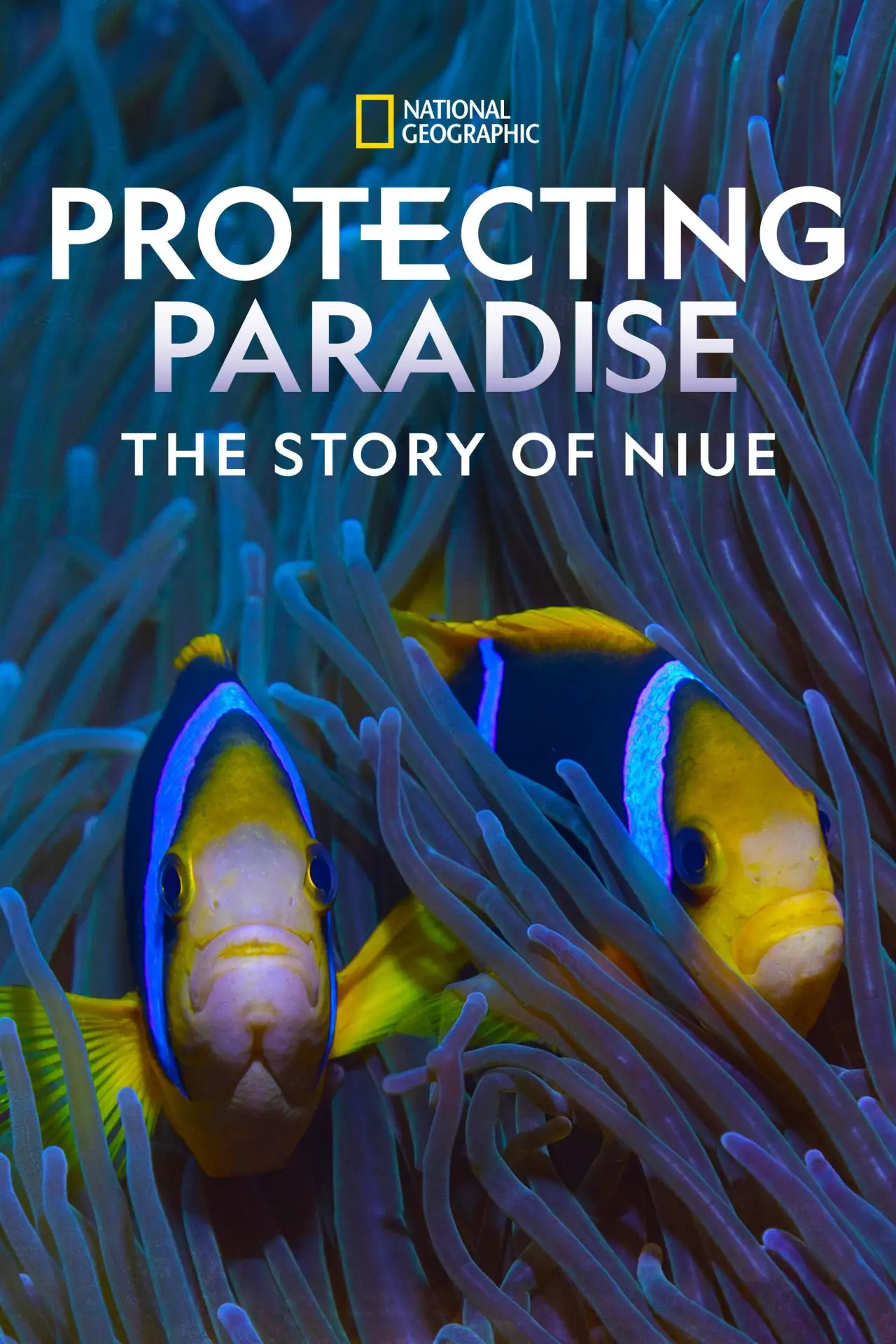 Plakat filmowy "Protecting Paradise: The Story of Niue"
