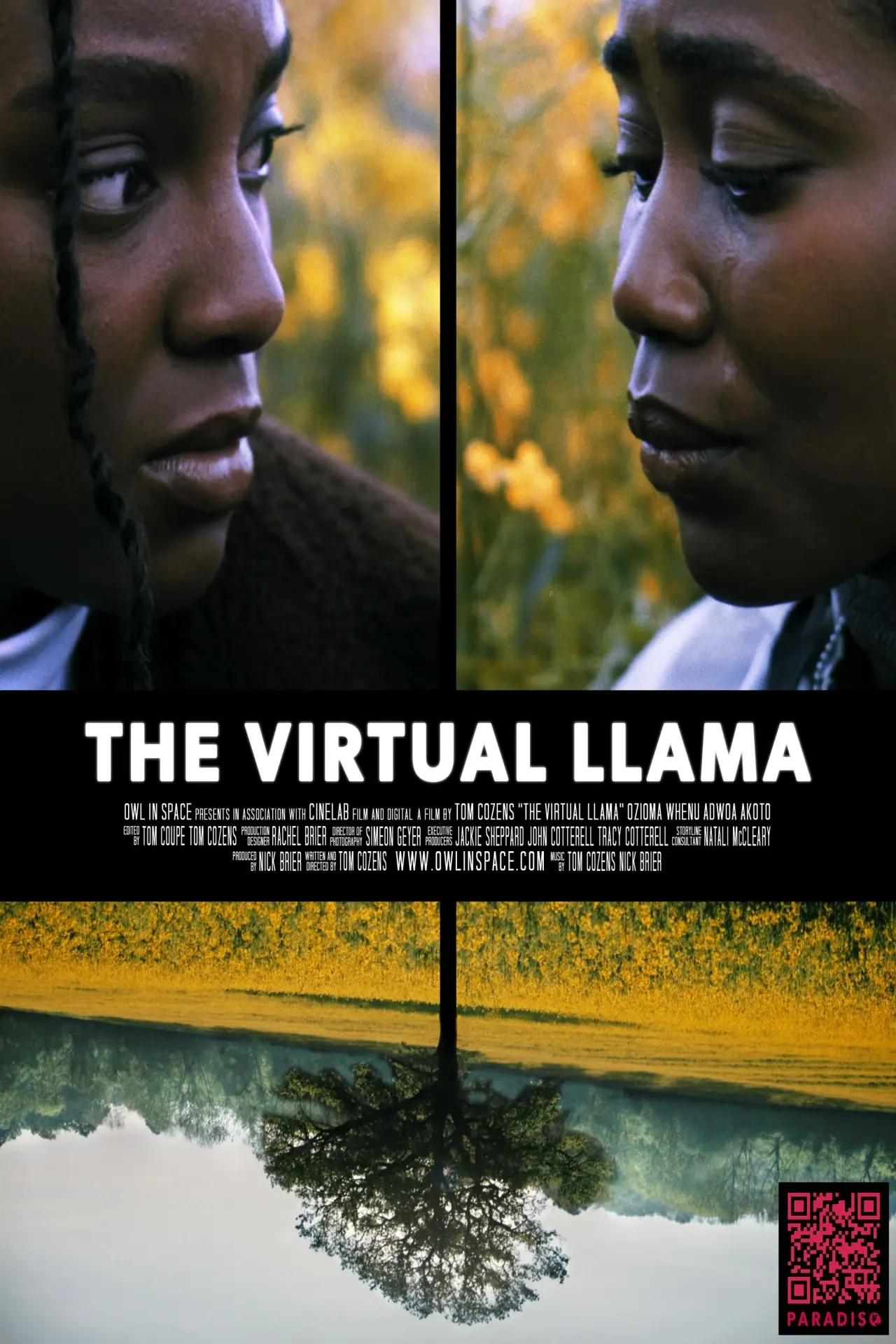 Plakat filmowy "The Virtual Llama"