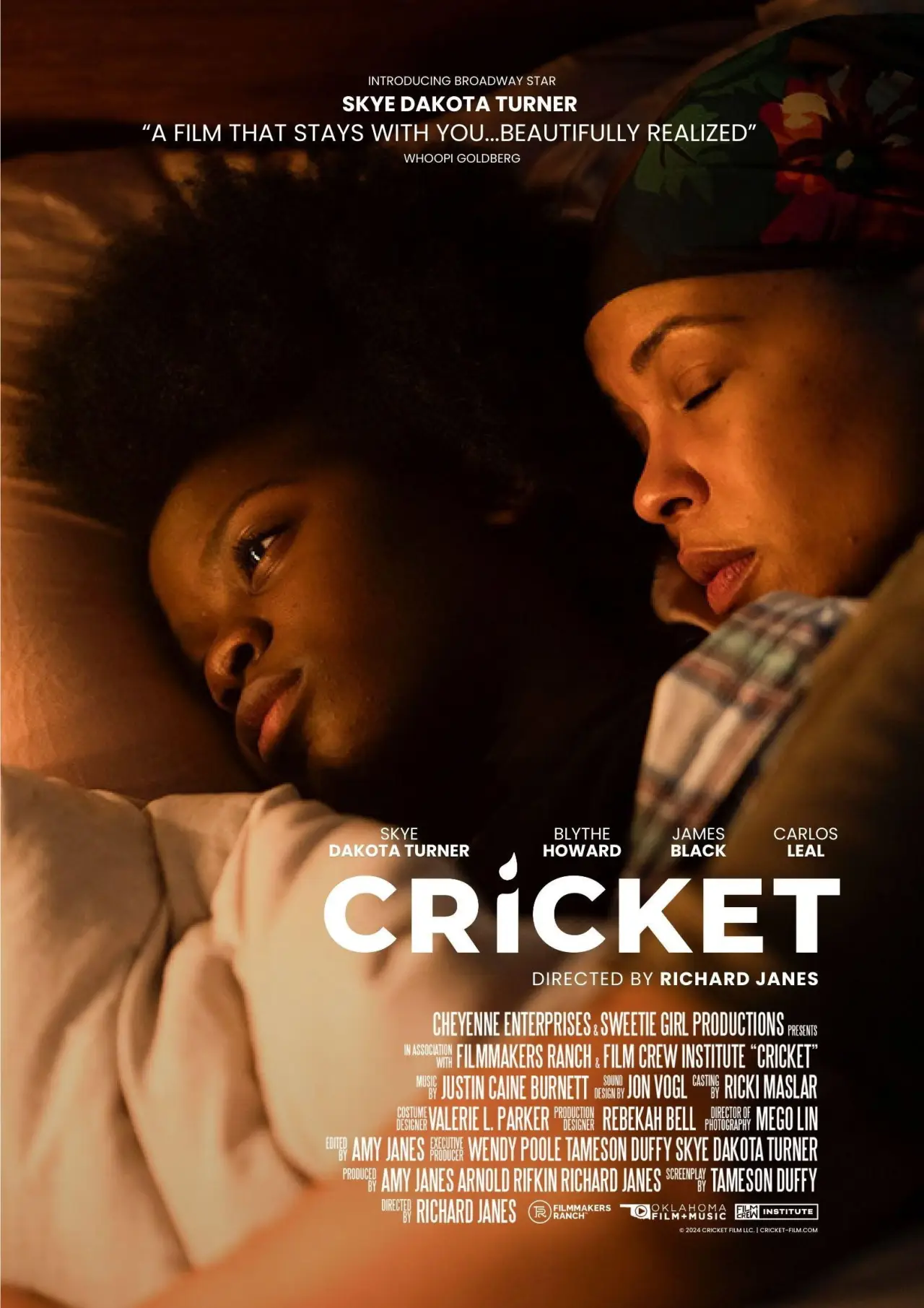 Plakat filmowy "Cricket"