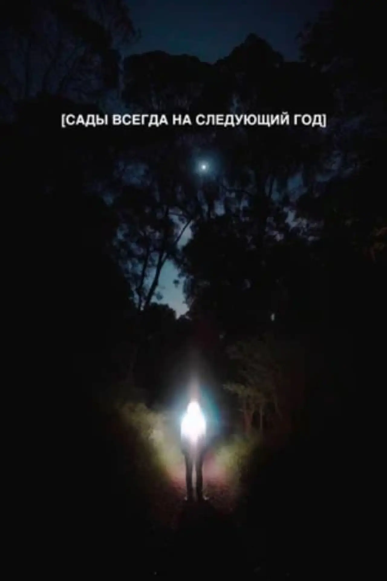 Plakat filmowy "Сады всегда на следующий год"