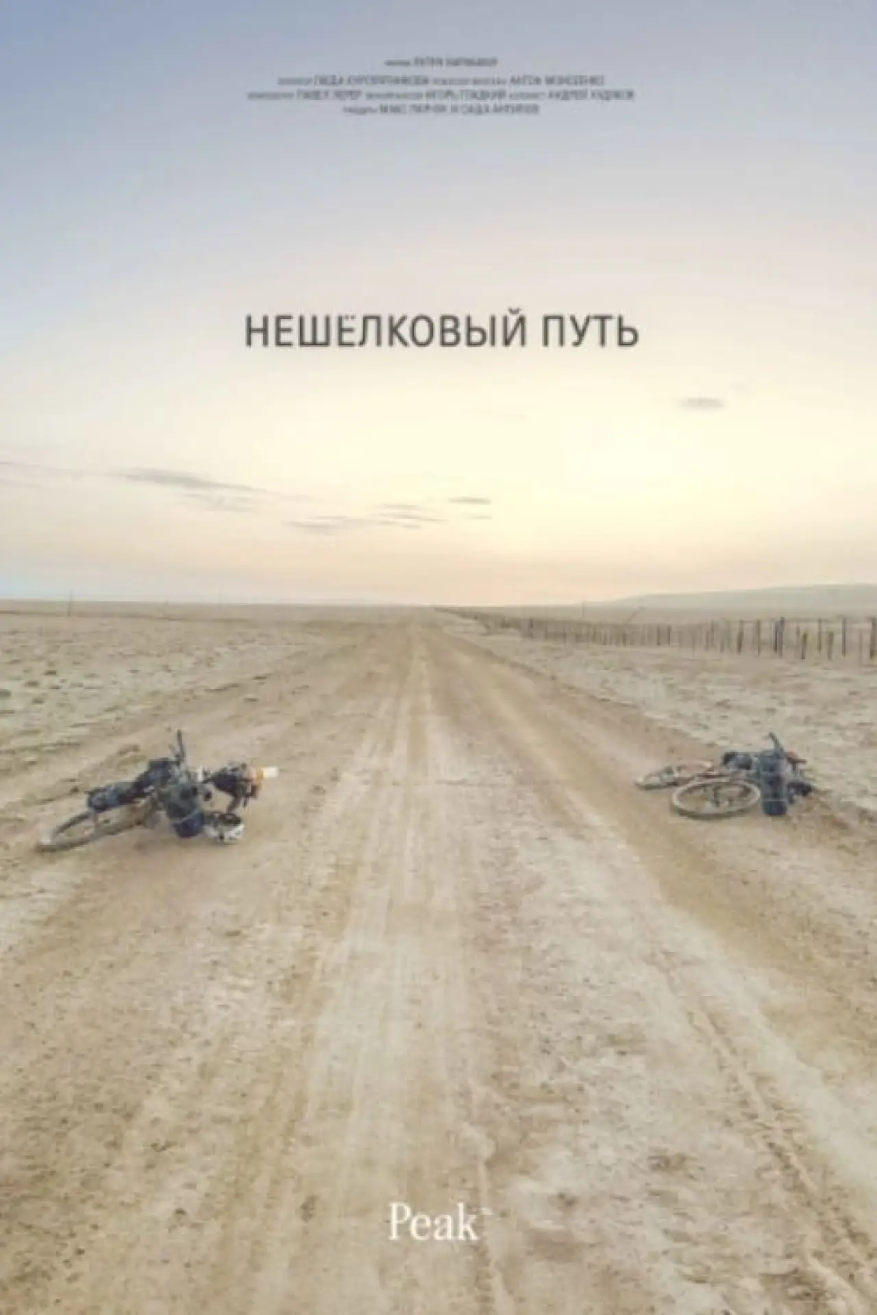 Plakat filmowy "Нешёлковый путь"