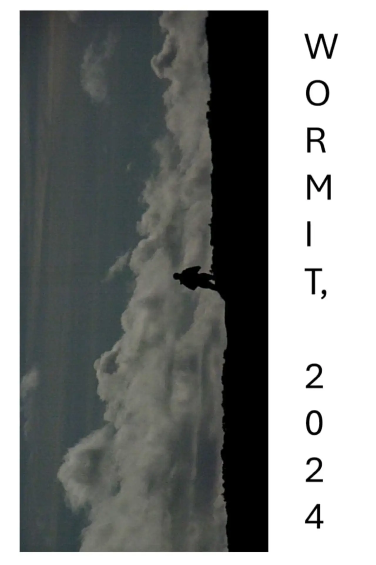 Plakat filmowy "WORMIT, 2024"