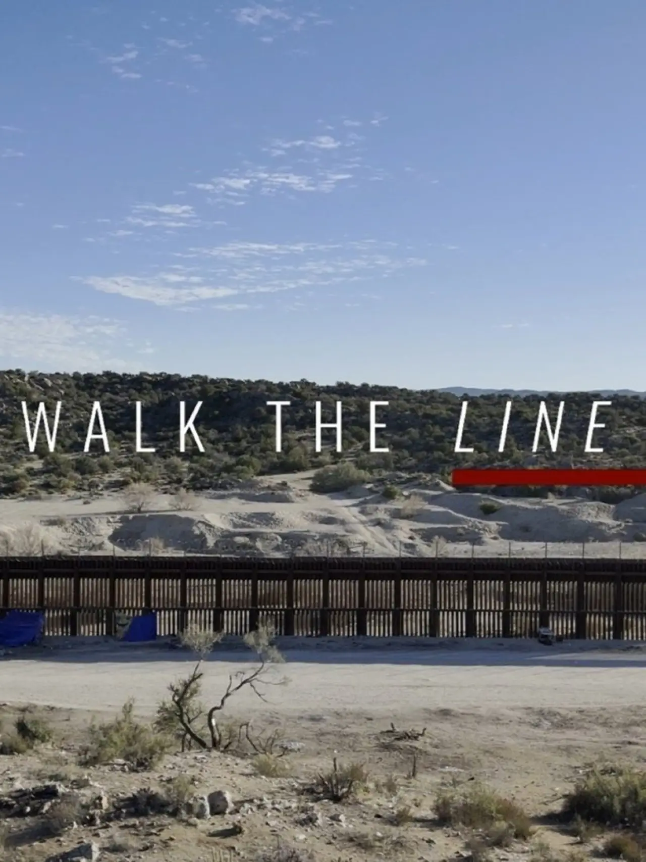 Plakat filmowy "Walk The Line"