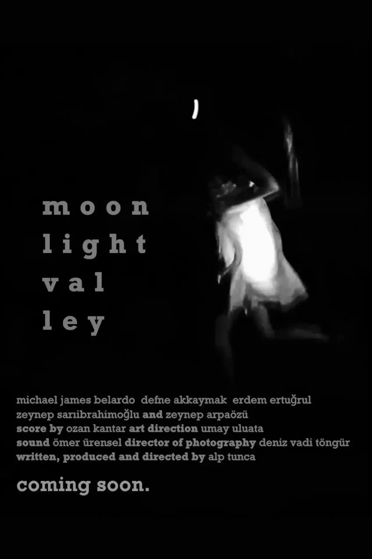 Plakat filmowy "Moonlight Valley"