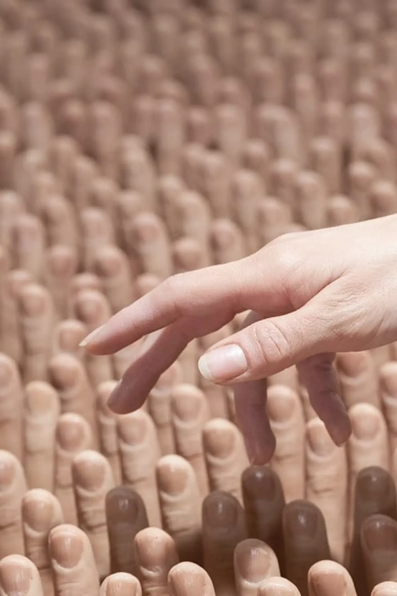 Plakat filmowy "The Finger Rub Rug"