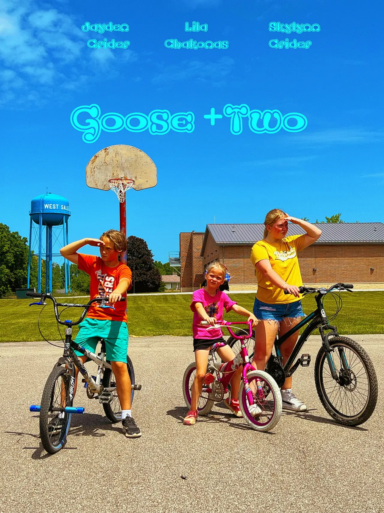Plakat filmowy "Goose + 2"