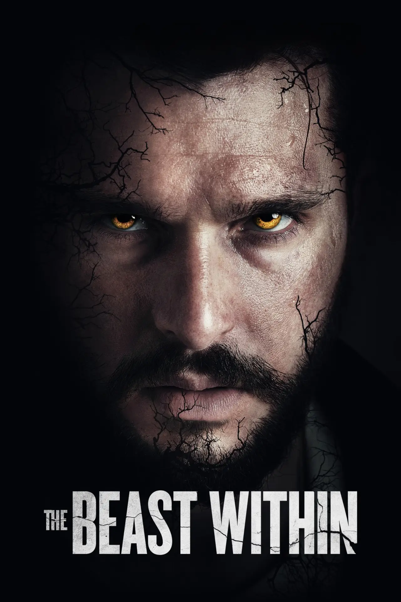 Plakat filmowy "Wcielenie"