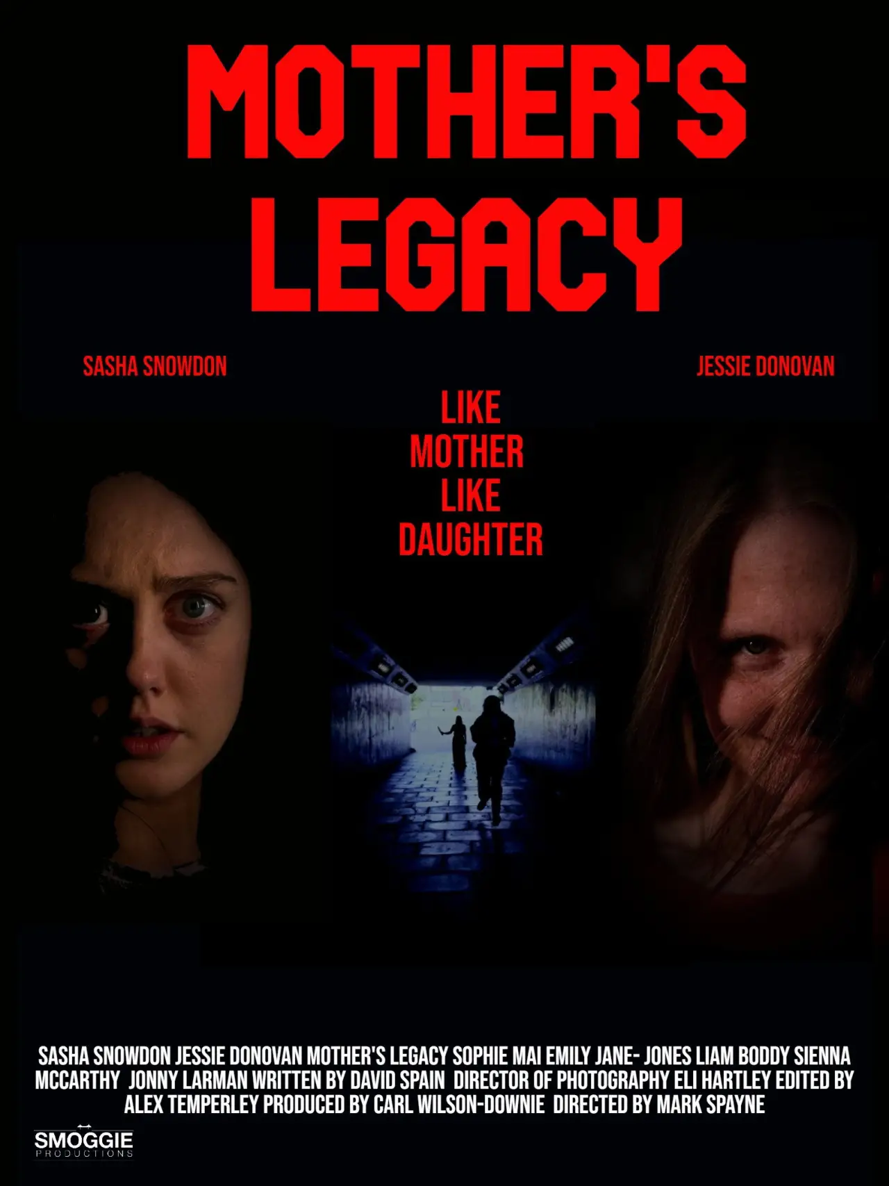 Plakat filmowy "Mothers Legacy"