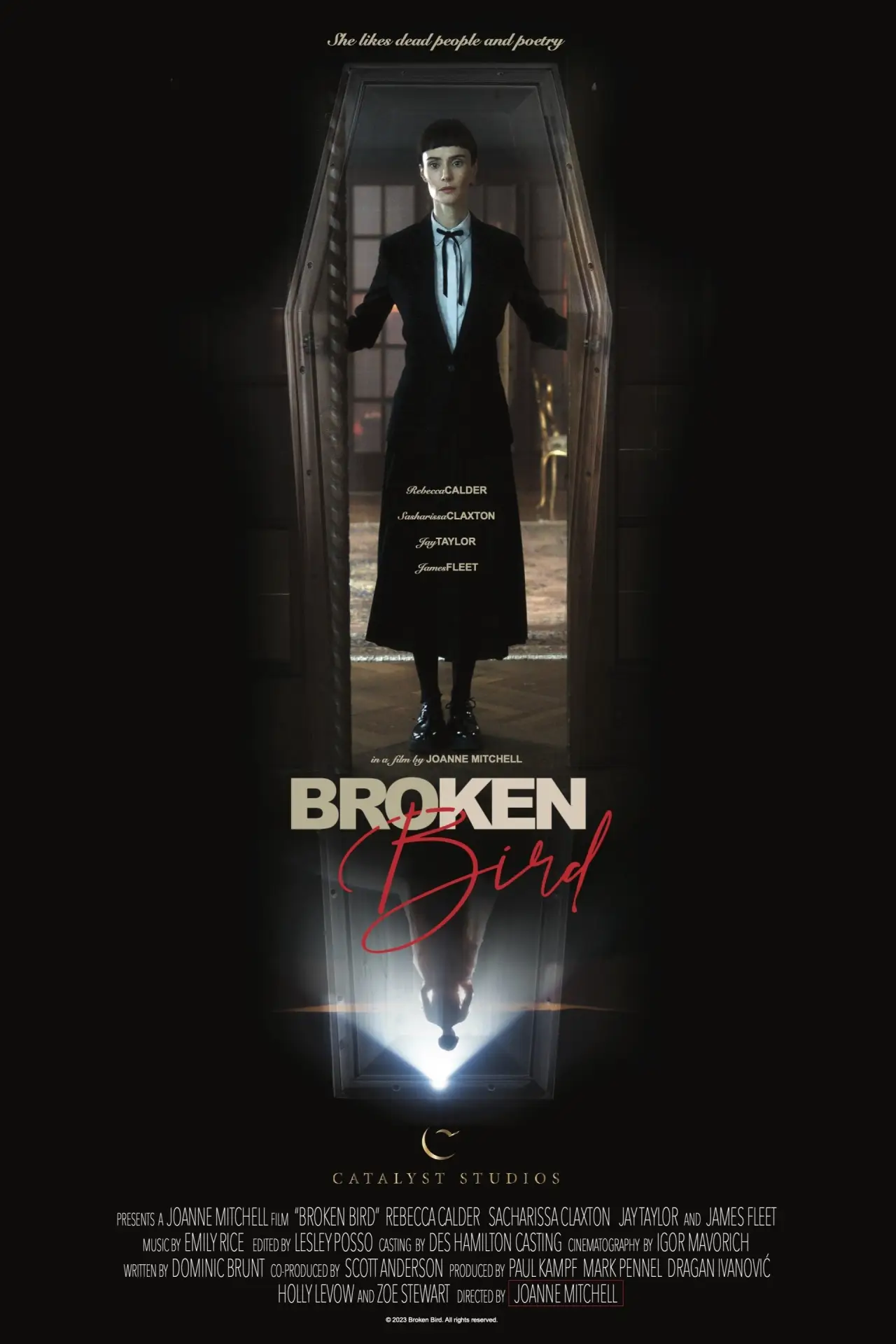 Plakat filmowy "Broken Bird"