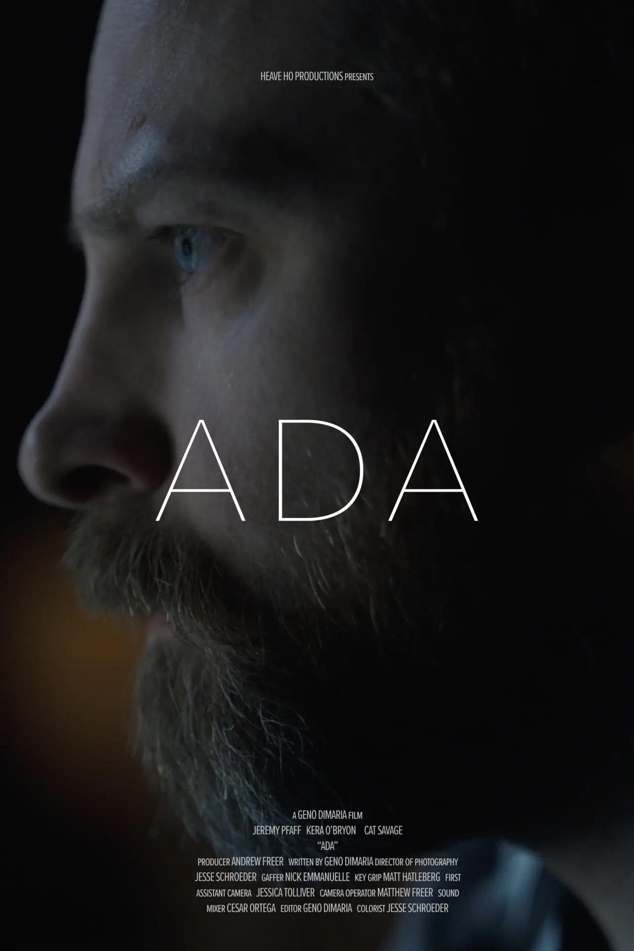 Plakat filmowy "ADA"