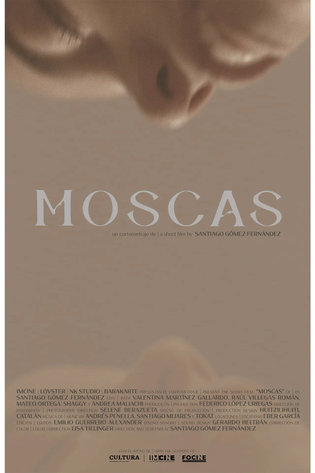 Plakat filmowy "Moscas"