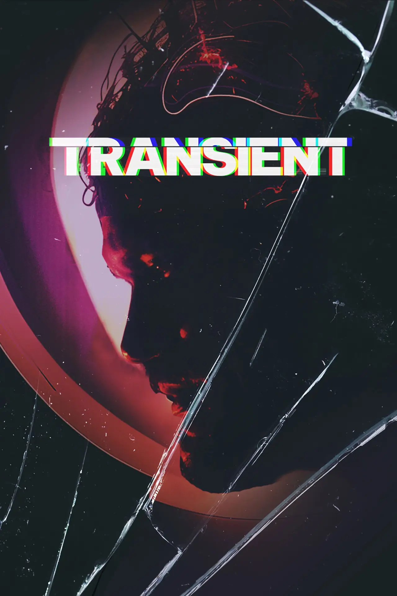 Plakat filmowy "Transient"