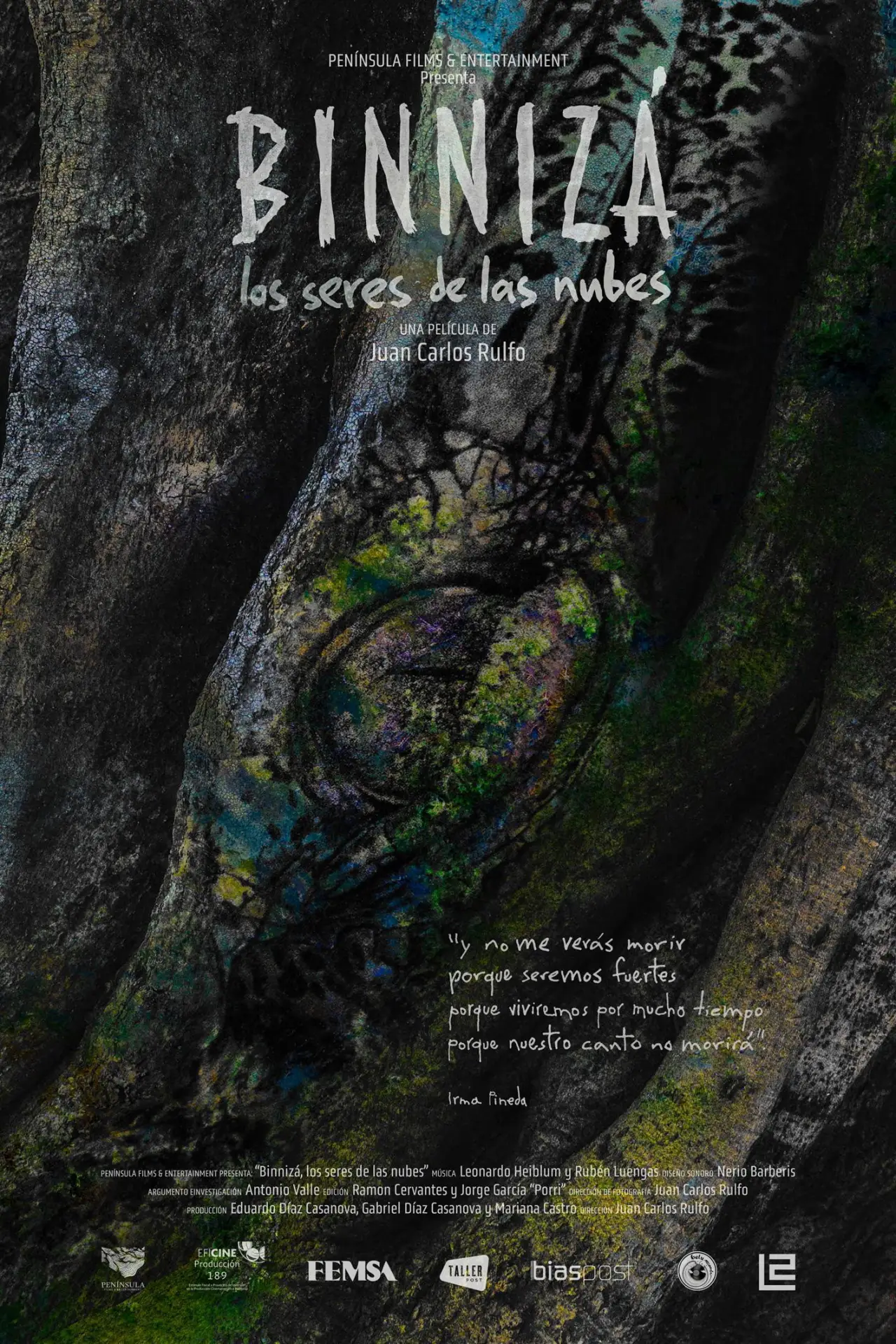 Plakat filmowy "Binnizá, los seres de las nubes"