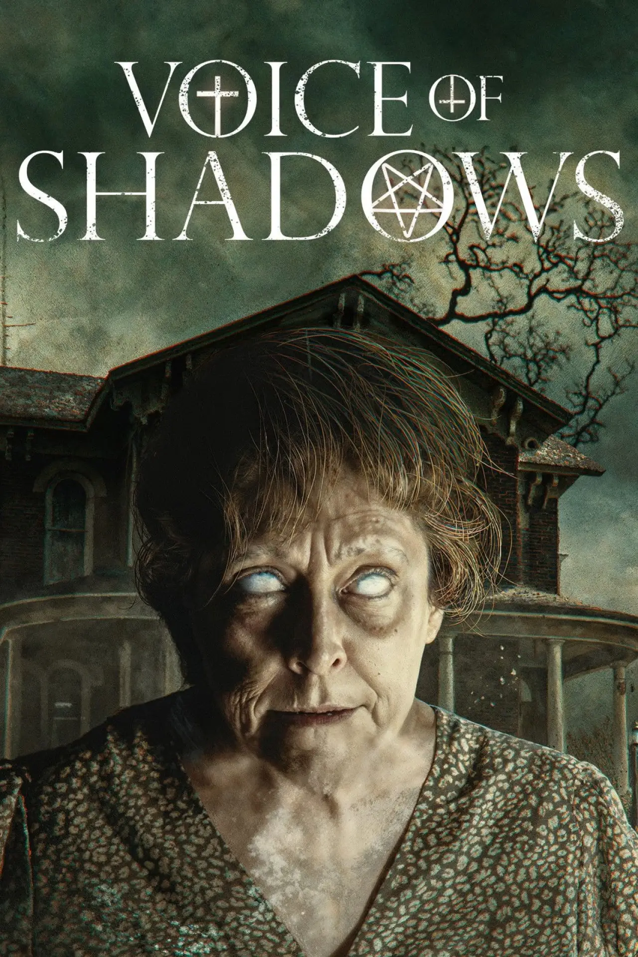 Plakat filmowy "Voice of Shadows"