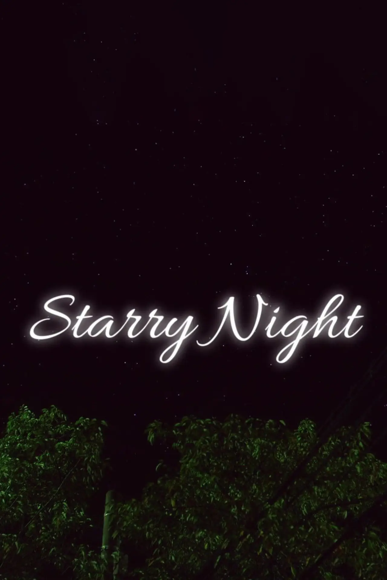Plakat filmowy "Starry Night"