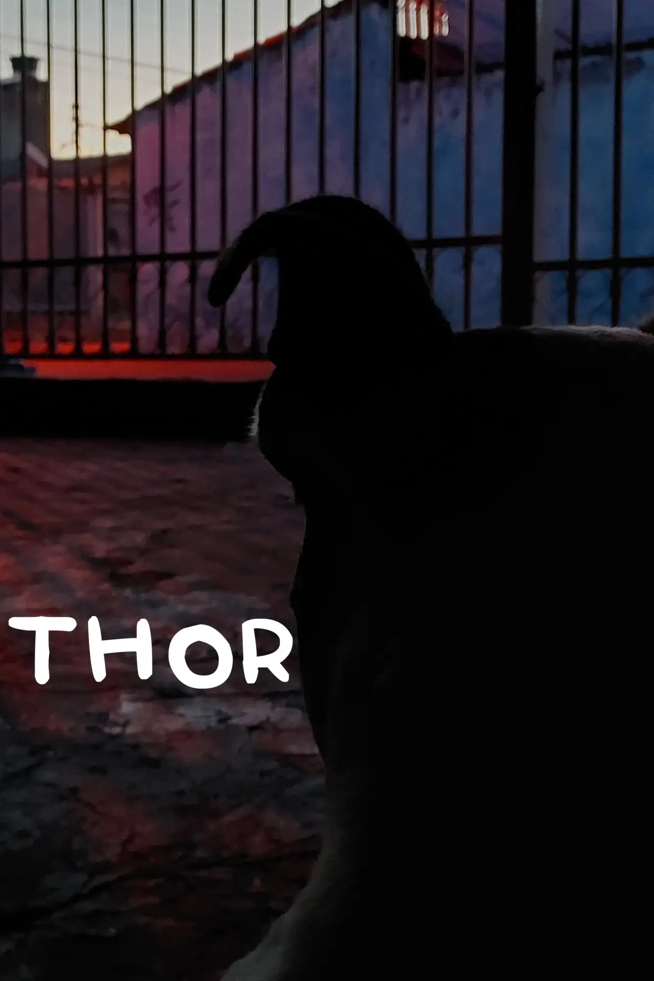 Plakat filmowy "Thor"