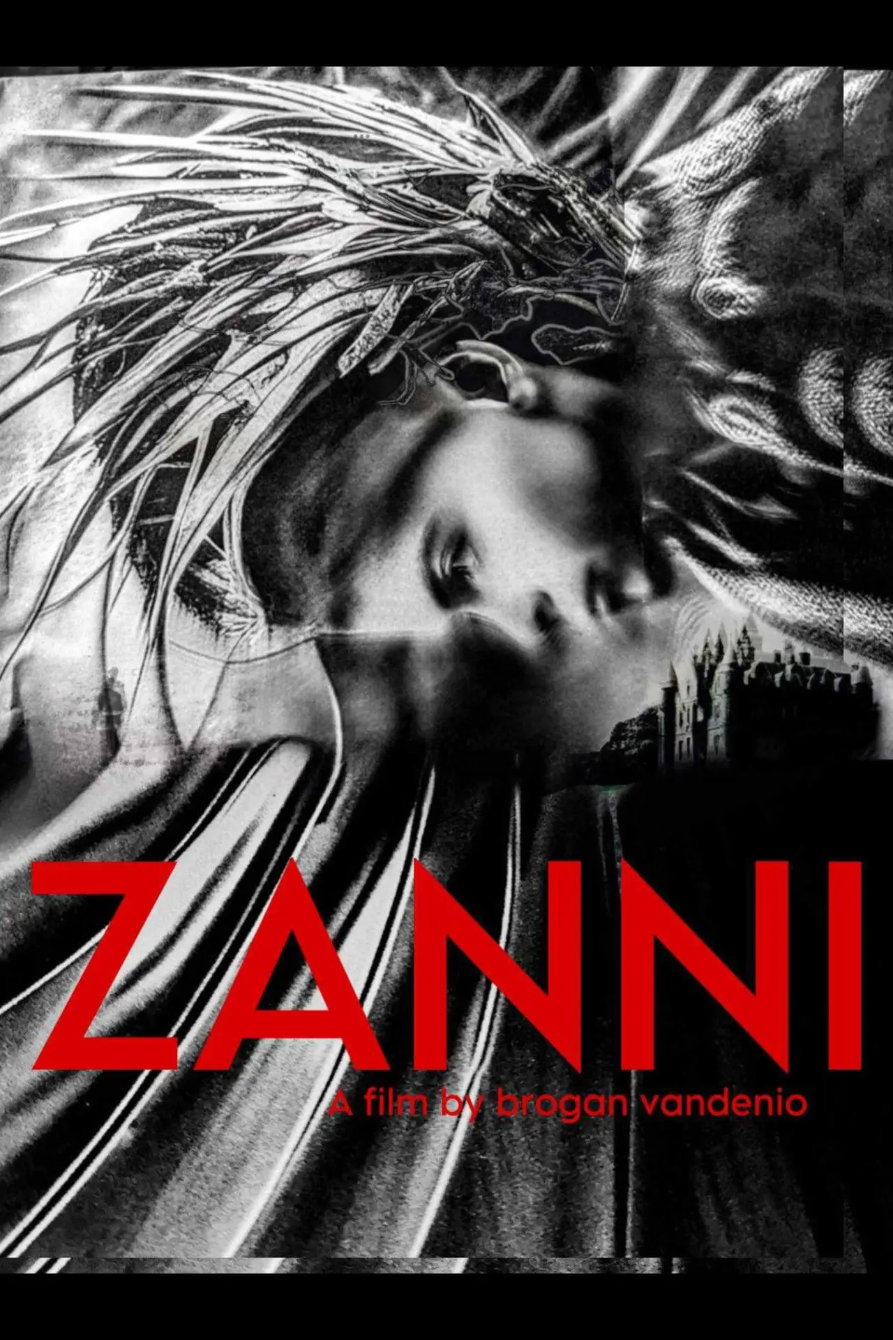 Plakat filmowy "Zanni"