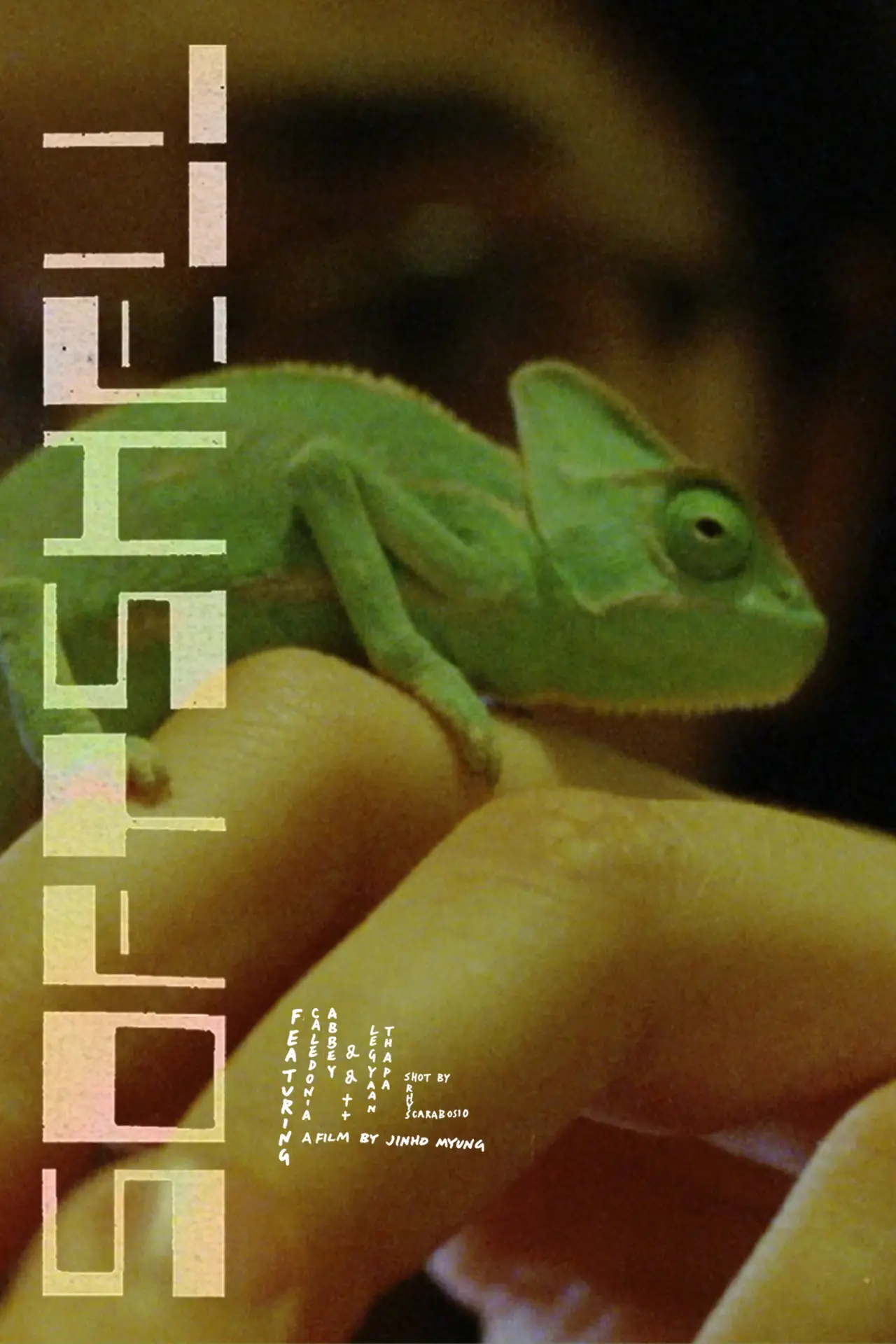 Plakat filmowy "Softshell"