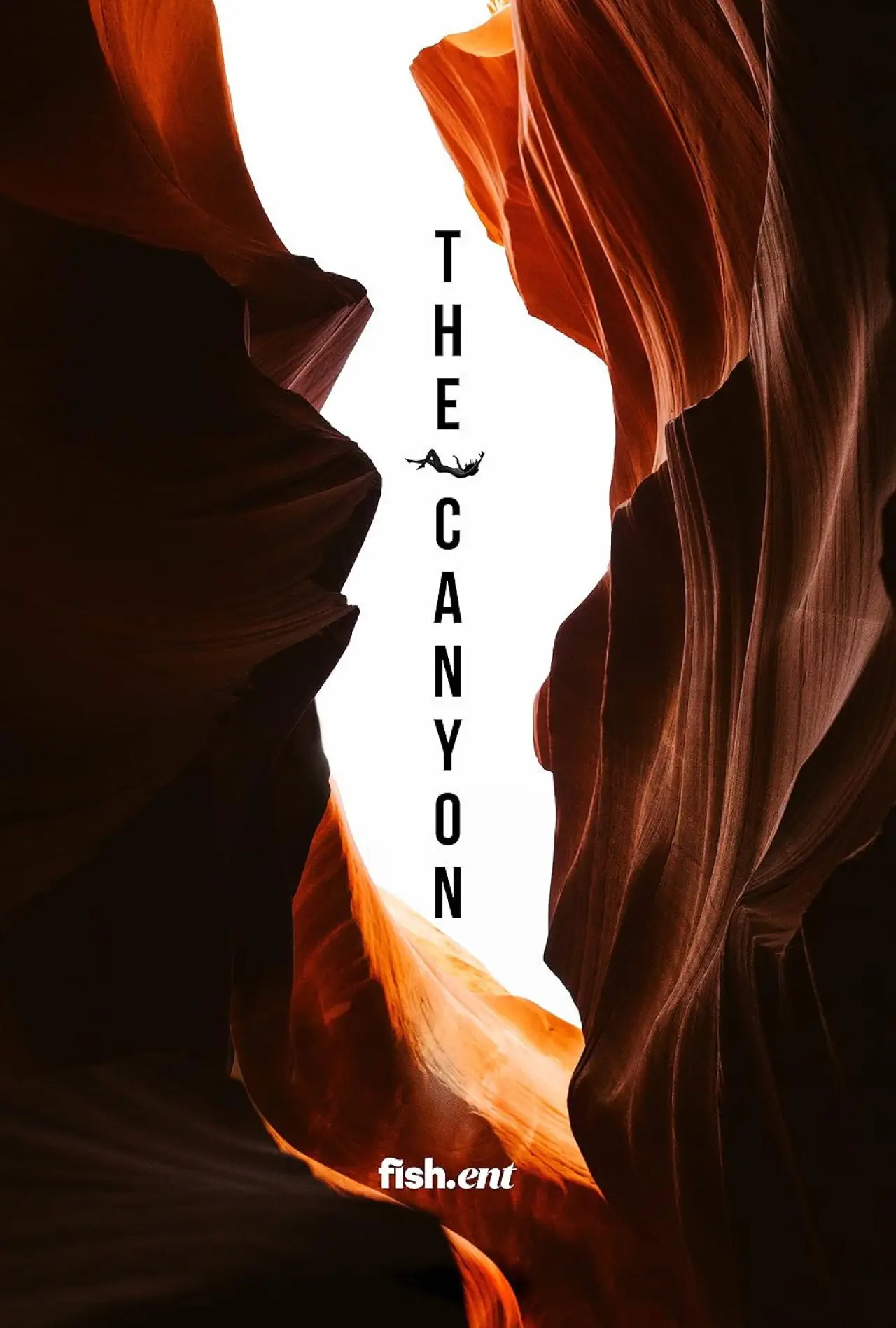 Plakat filmowy "The Canyon"