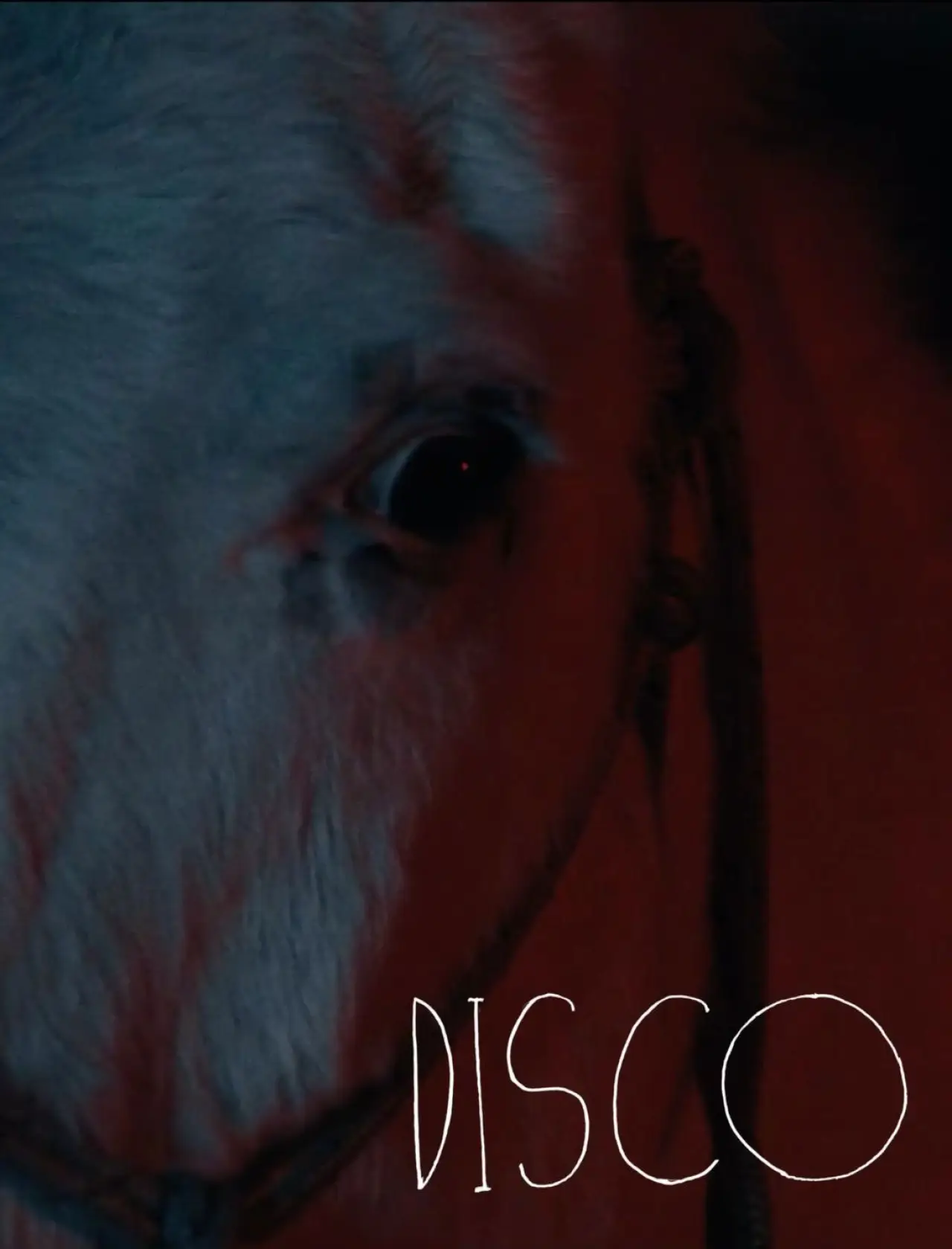 Plakat filmowy "Disco"