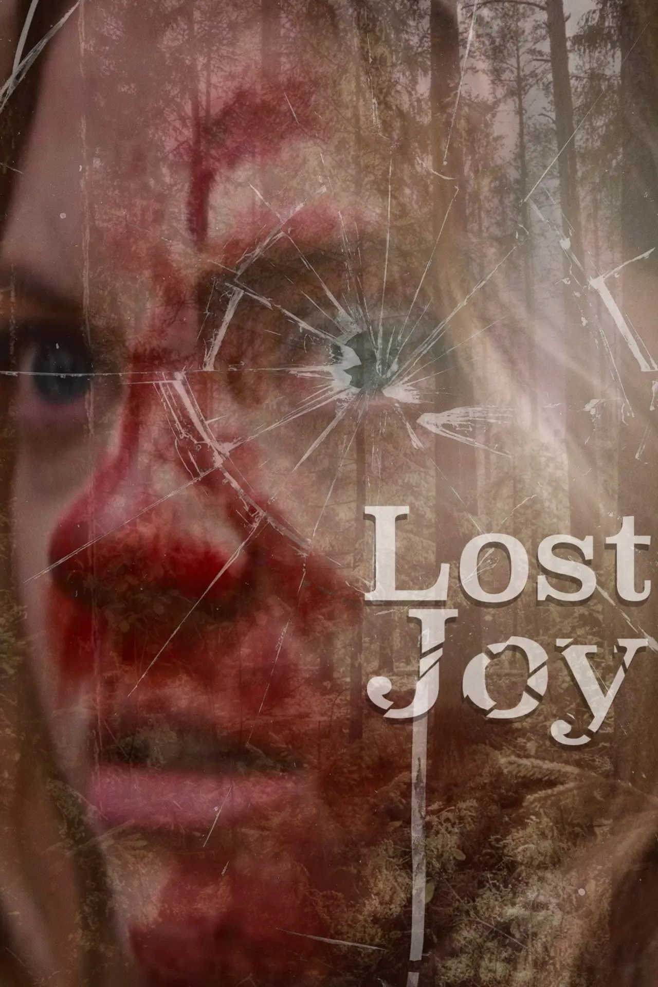 Plakat filmowy "Lost Joy"
