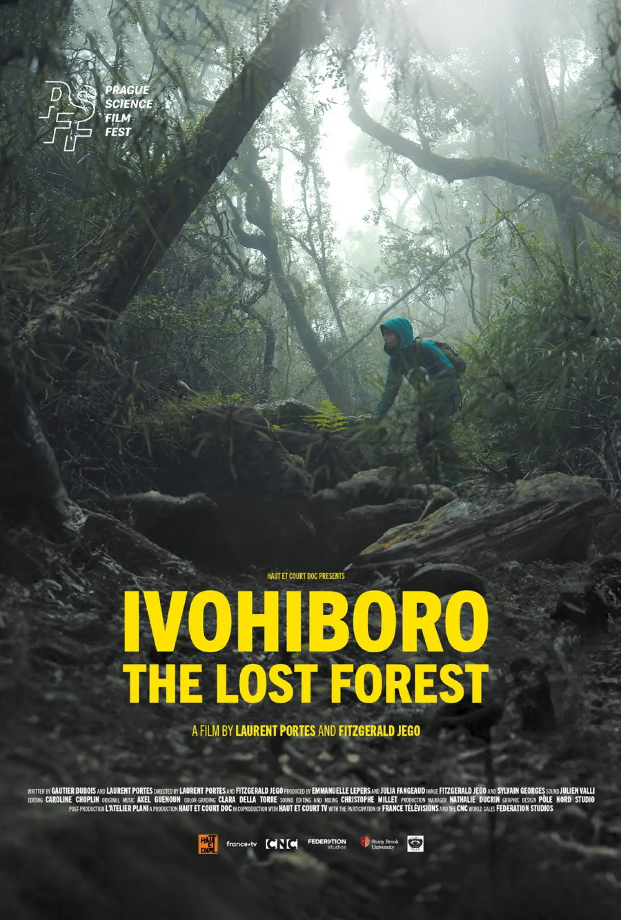 Plakat filmowy "Ivohiboro, la forêt oubliée"