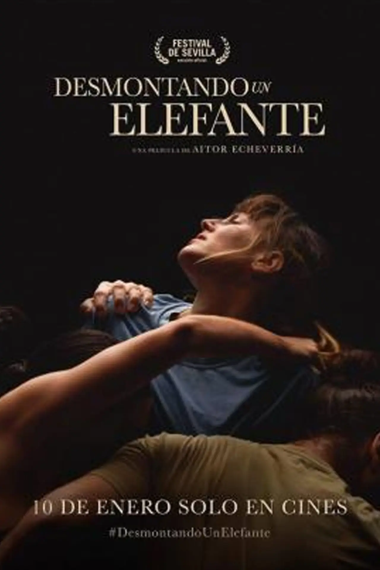 Plakat filmowy "Desmontando un elefante"