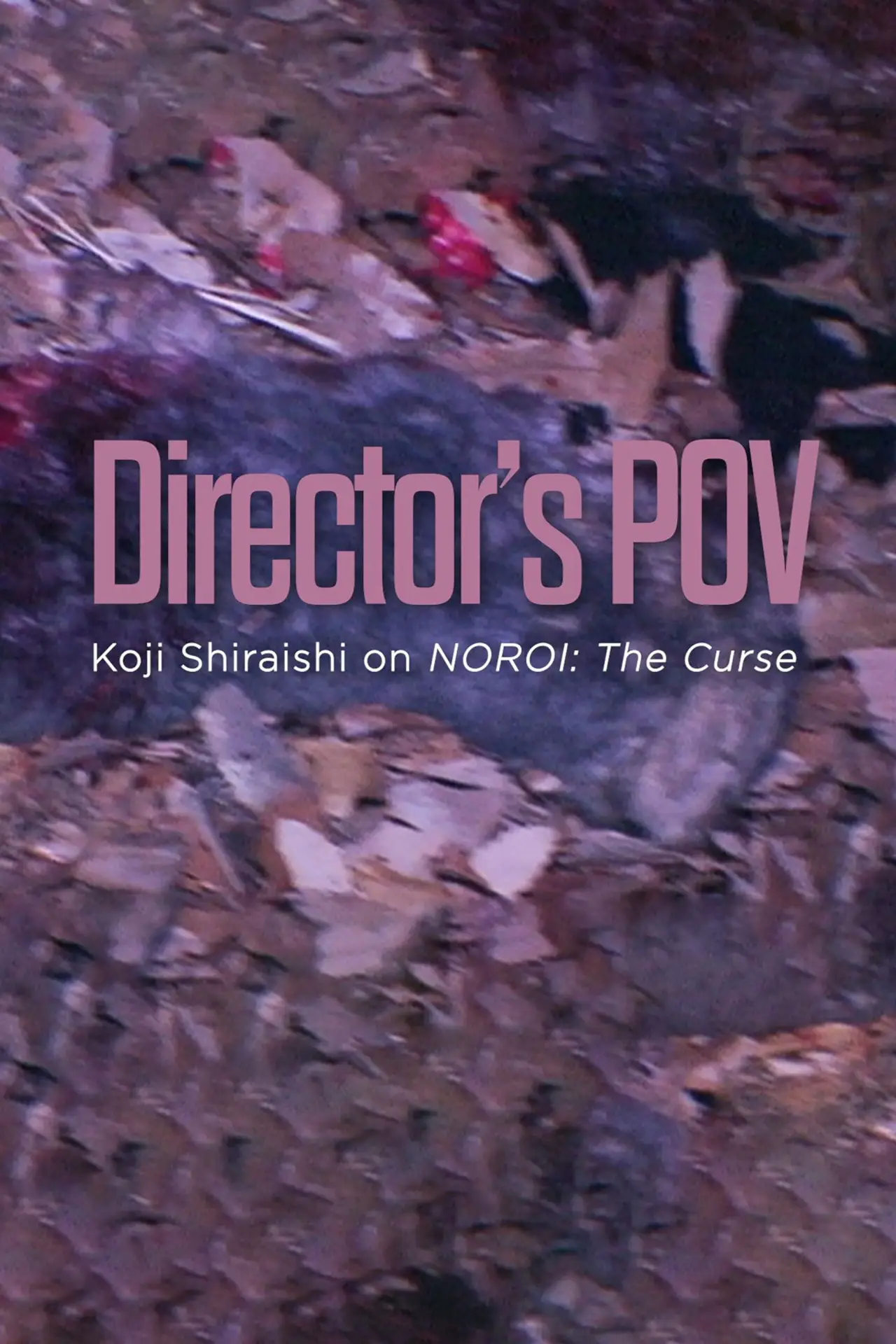 Plakat filmowy "Director
